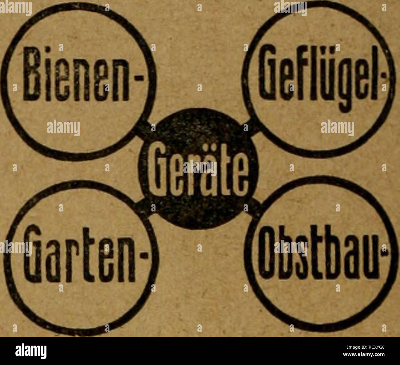 . Der ornithologische Beobachter. Vögel, Vögel. ZOOLOGISCHES PR^ iPARÄTOMUd Distböblen kaufen Sie am billigsten beim Yogelschatzbüreau Lenzbnrg. - Verlangen Sie Gratisprospekt.. Preisliste gratis uad franko J. M. SCHOBINGER = Huber Emmenbrucke b. Luzern zu verkaufen. Degland et Gerbe. Ornitliologie Europeenne. : Ich Bände, brosch. gut er-halten. A. Pillichody, Bollwerk 27, Bern. ^1 Steinadler Fr. 60. - Verkehrspolitikerin, schöne Planen hat zu verkaufen. Rohracher in Lienz, Tirol. Ratten et Souris meurcnt en Dehors de leurs Gi'tesapreslemploi du Virus Danysz. d^couvert 4 L'Institut Pasteur. Paris. Sans dang Stockfoto