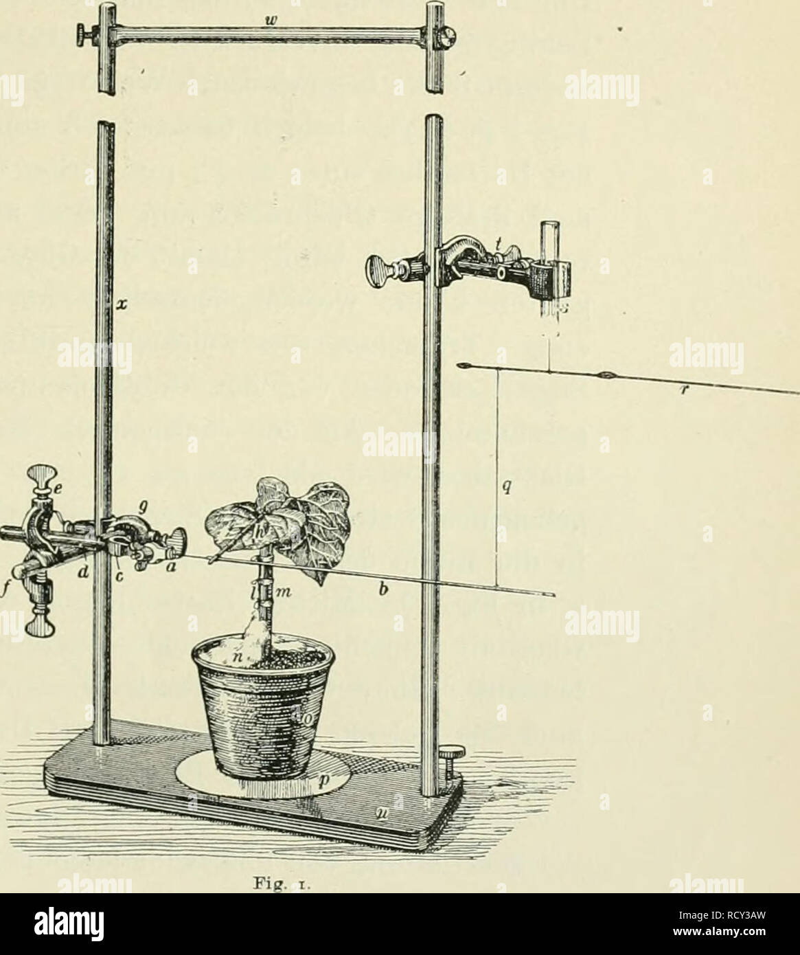. Der Einfluss von mechanischer Belastung und Hemmung von Schlafbewegungen in sterben. Pflanzen. Kapitel 11. Metliodisclies. Läßt man ein bewegungstätiges Orgel gegen einen Widerstand wirken, der schon bei geringer Ausbiegung sterben entwiclielte Druck-energie Äquilibriert, so kann man aus der abgelesenen vergrößert Ausbiegung des breiteren-Standes den Gang der - wegungsbestrebungen und der bei diesen nach außen hin entwickelten Energie ermitteln. Zu diesem Zwecke verwandte ich in früheren Studien") einen als Hebeldynamometer-zeichneten Apparat, bei dem, analog wie bei der briefwage, der schnell ein Stockfoto