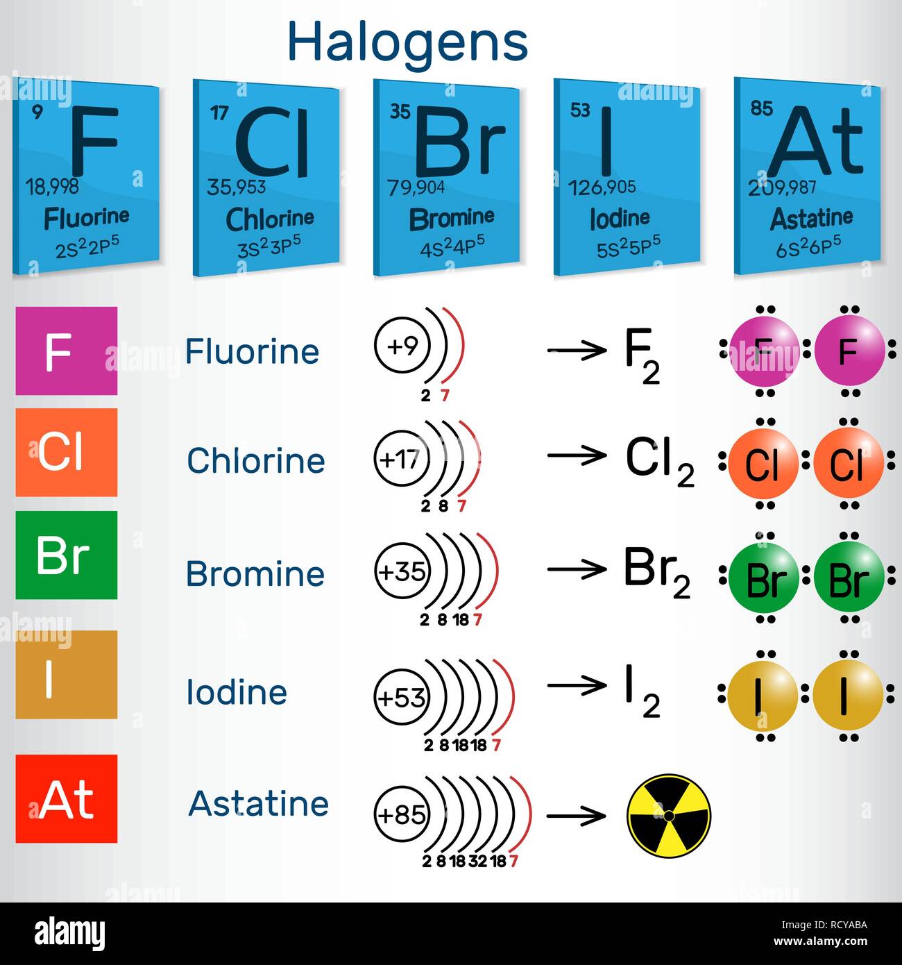 Halogene. Chemischen Elemente des Periodensystems. Vector Illustration Stock Vektor