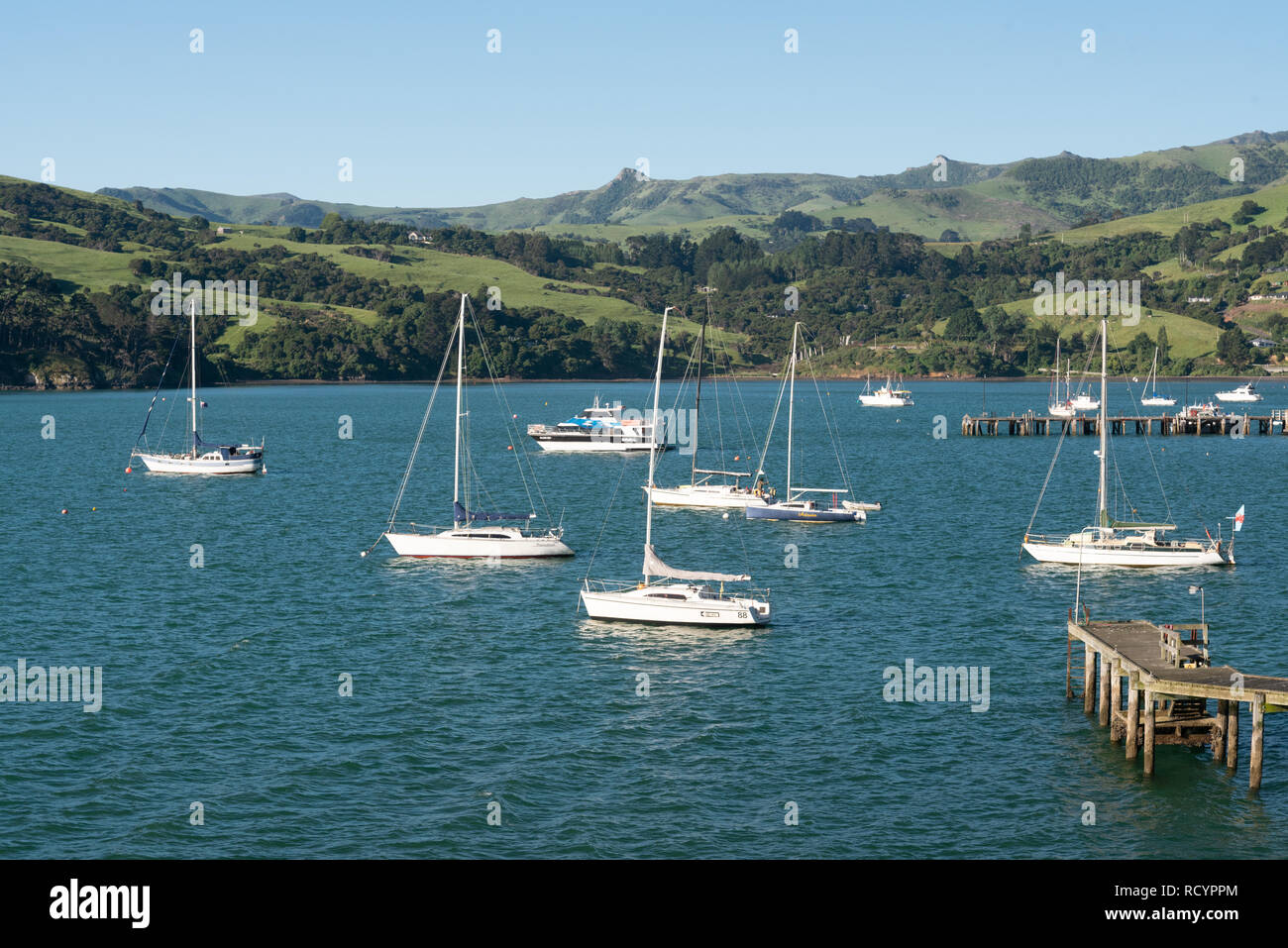 Hafen von Akaroa, auf der Südinsel Neuseeland Stockfoto