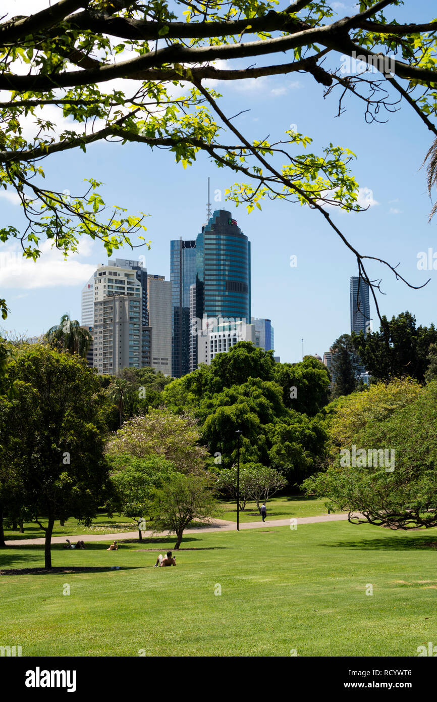 City Botanic Gardens, Brisbane, Queensland, Australien Stockfoto