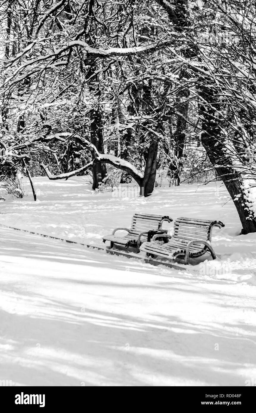 Schöne Banner mit Parkbänke im Winter auf weißem Hintergrund für Lifestyle Design. Winter Schnee Bäume sehen. Schneelandschaft. Stockfoto