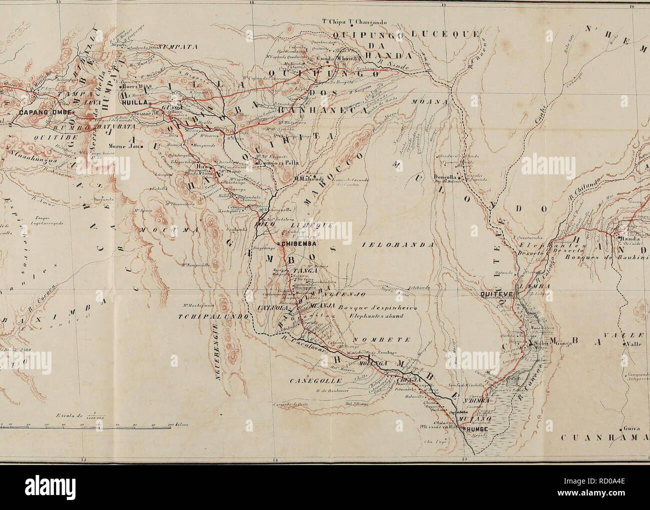 . De Angola á contra - Costa; descripção de Uma viagem atravez Tun continente Africano. Natural History. * Als vt R X M P" "M" "C U A N H.-A M Aí. Bitte beachten Sie, dass diese Bilder sind von der gescannten Seite Bilder, die digital für die Lesbarkeit verbessert haben mögen - Färbung und Aussehen dieser Abbildungen können nicht perfekt dem Original ähneln. extrahiert. Capello, Hermenegildo Carlos de Brito, 1841-1917; Ivens, Roberto, 1850-1898. Lisboa Impr. Nacional Stockfoto