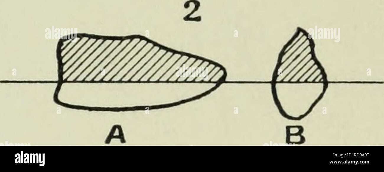 . Die Tiefen des Ozeans; ein allgemeines Konto der modernen Wissenschaft der Ozeanographie, sich weitgehend auf die wissenschaftlichen Forschungen der Norwegischen Dampfgarer Michael Sars im Nordatlantik. Ozeanographie. Rock frag - in Tiefen von 318 bis 3420 Meter reichen während der Expedition von S.M. mentsdredged shjps "Triton" und "Knight Errant." Er schlägt vor, dass der vergletscherten Steine auf dem Grat sind oder in einem geschiebelehm eingebettet wurden. Die Steine bestehen hauptsächlich aus Lewisian Gneis und die Moine schists liegen östlich der post-Cambrian Verschiebungen im Hochland von Scotla Stockfoto