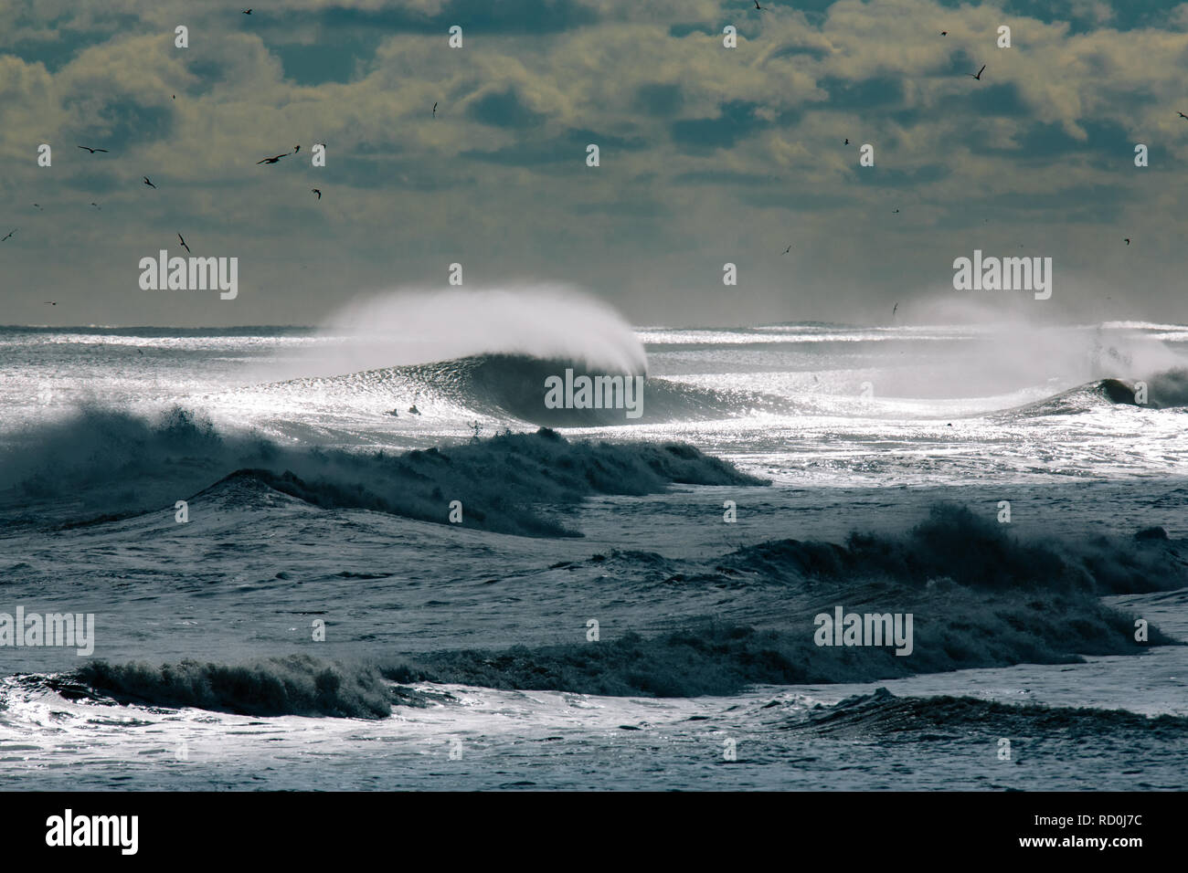 Silhouette von Surfers Paddeln über brechenden Wellen, Jersey Shore, New Jersey, United States Stockfoto