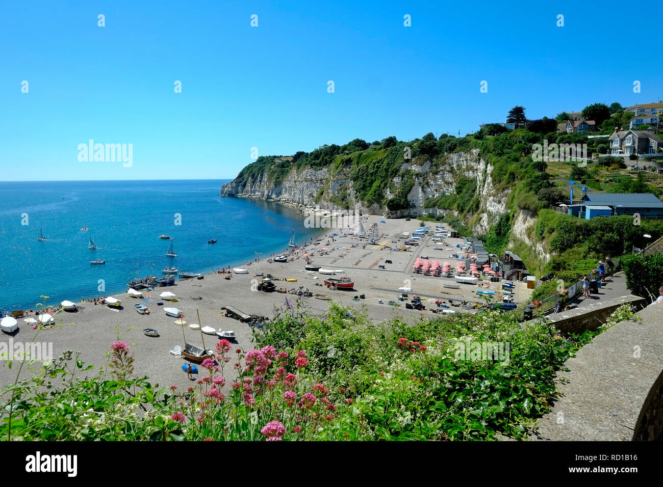 Blick auf den Strand von Beer, UNESCO-Weltkulturerbe, East Devon. GROSSBRITANNIEN Stockfoto