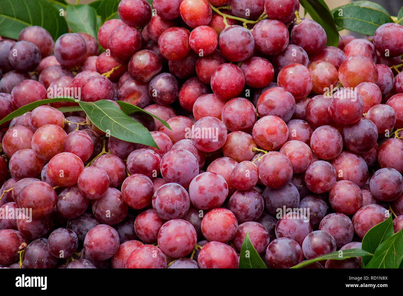 Nahaufnahme von roten Trauben in einem Markt Stockfoto