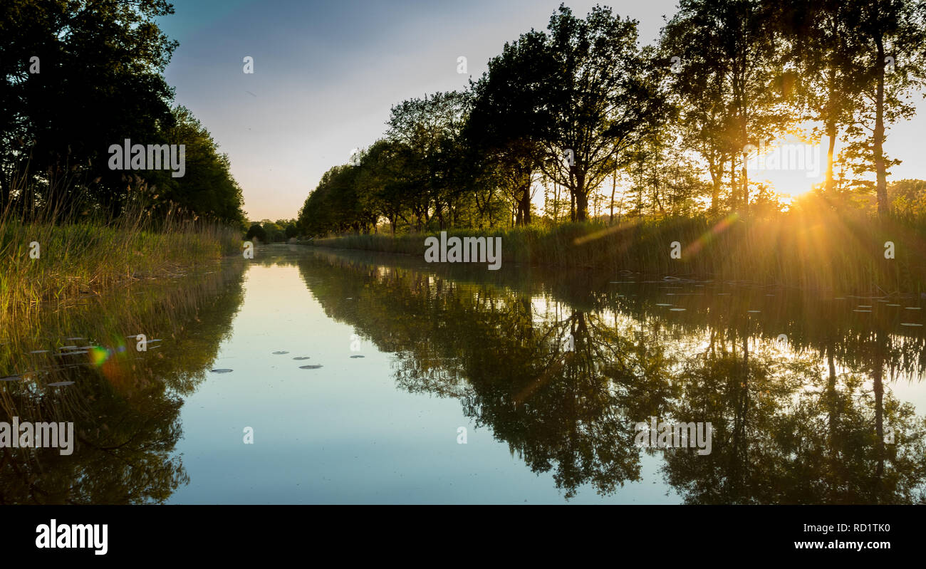 Mit Bäumen gesäumten Kanal, Reutum, Utrecht, Holland Stockfoto