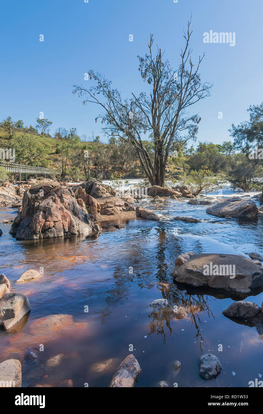 Glocken Stromschnellen der Schwan und den Fluss Avon Kreuzung, Brigadoon, Western Australia, Australien Stockfoto