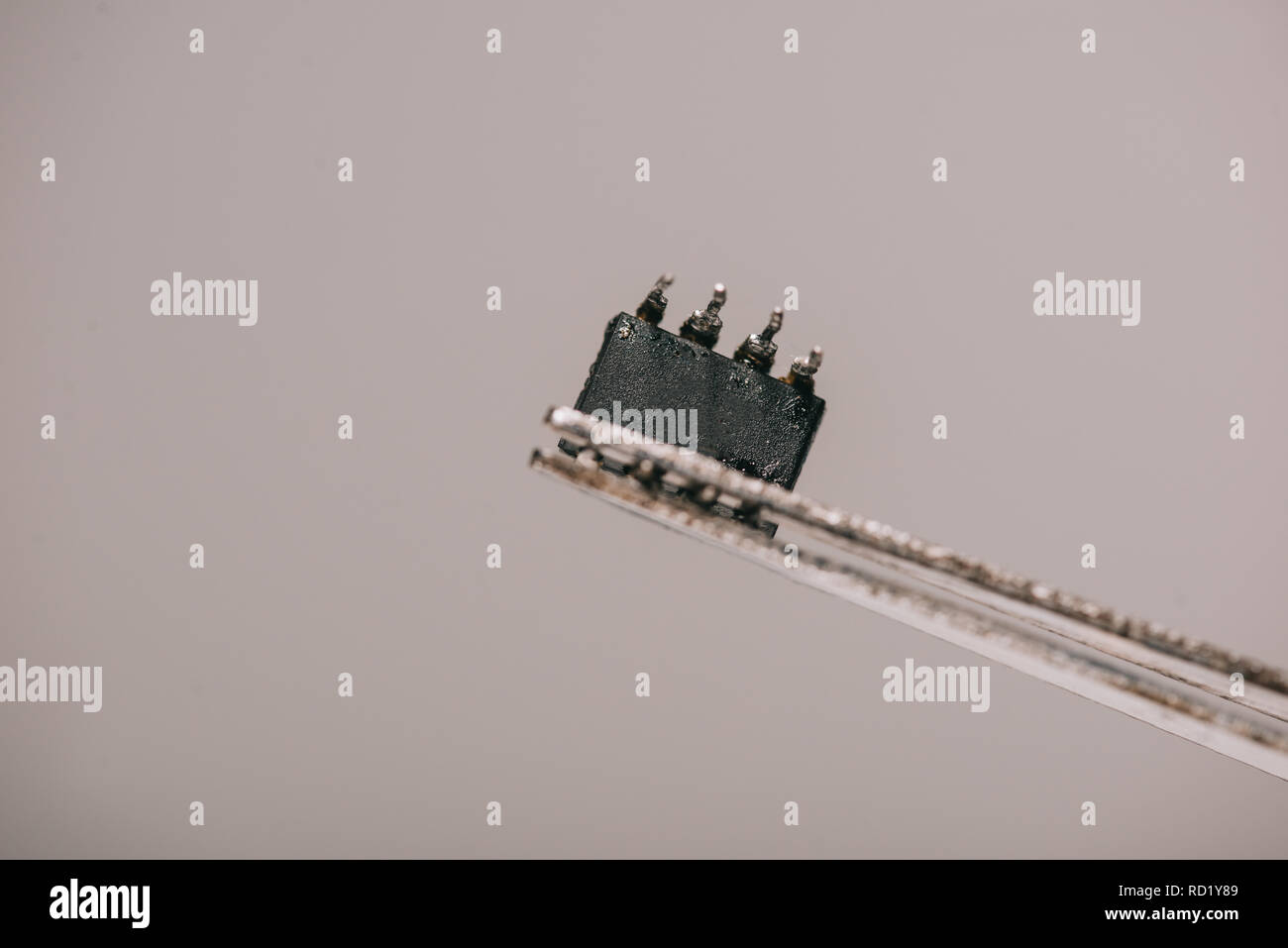 In der Nähe von metallischen Pinzette mit kleinen Mikrochip auf grauem Hintergrund Stockfoto