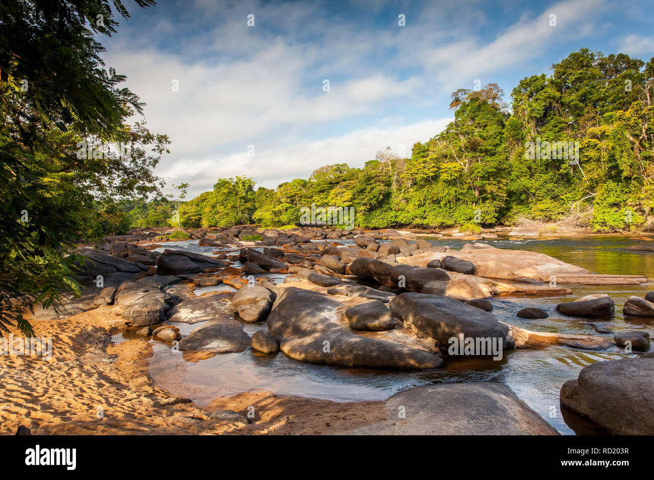 Blick auf den Suriname Fluss im oberen Suriname, awarradam Jungle Camp Stockfoto