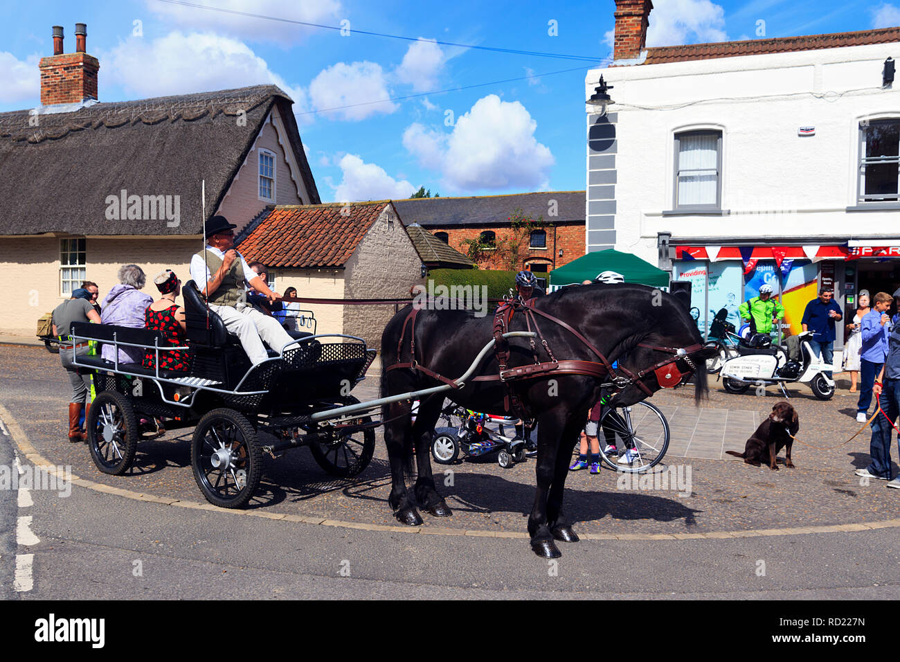 Mit der Kutsche an 40 Wochenenden im North Thoresby Dorf, Lincolnshire, Großbritannien Stockfoto