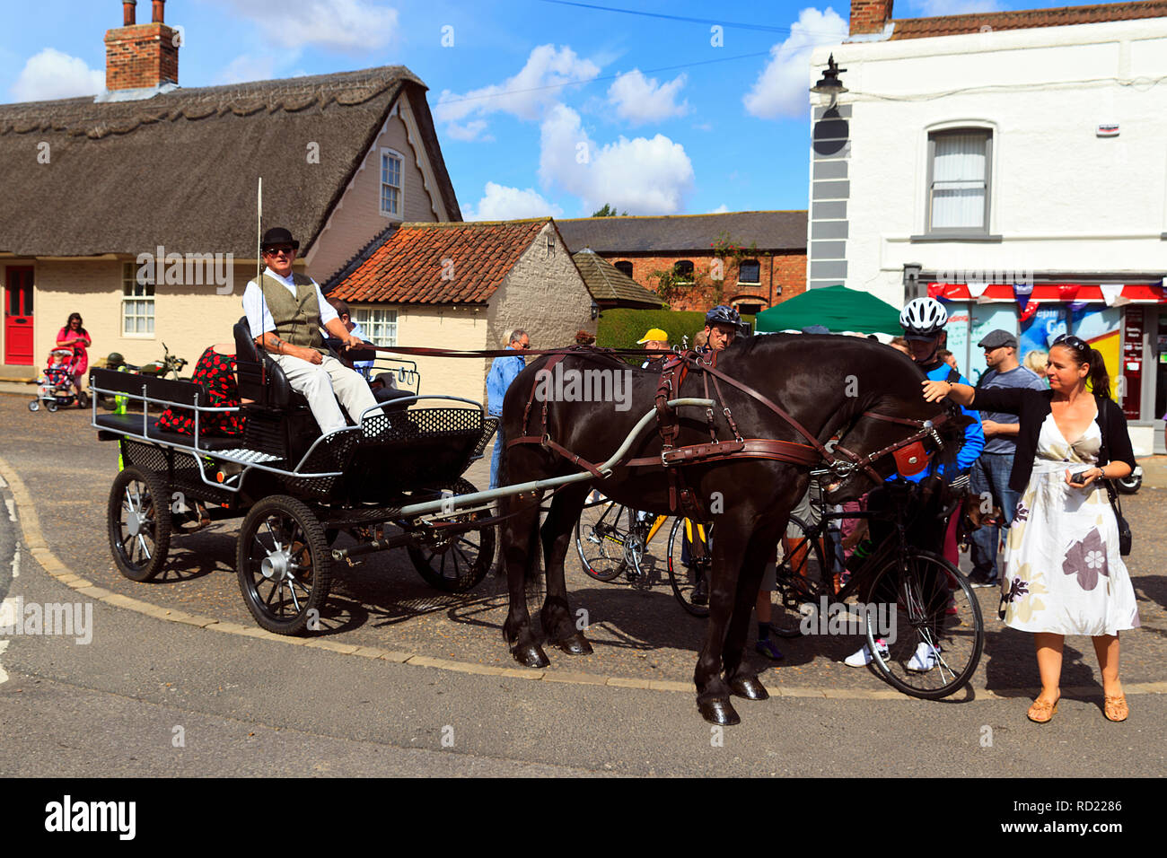 Mit der Kutsche an 40 Wochenenden im North Thoresby Dorf, Lincolnshire, Großbritannien Stockfoto