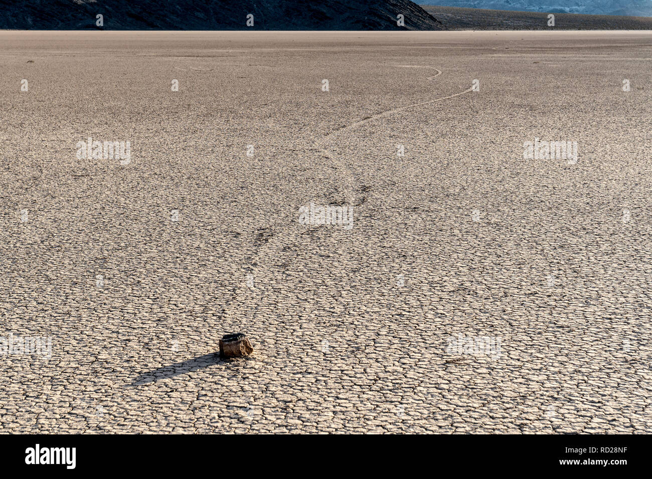 Segeln Felsen hinterlassen Spuren im Schlamm wie Sie sich bewegen, Racetrack Playa, Death Valley National Park, Kalifornien Stockfoto