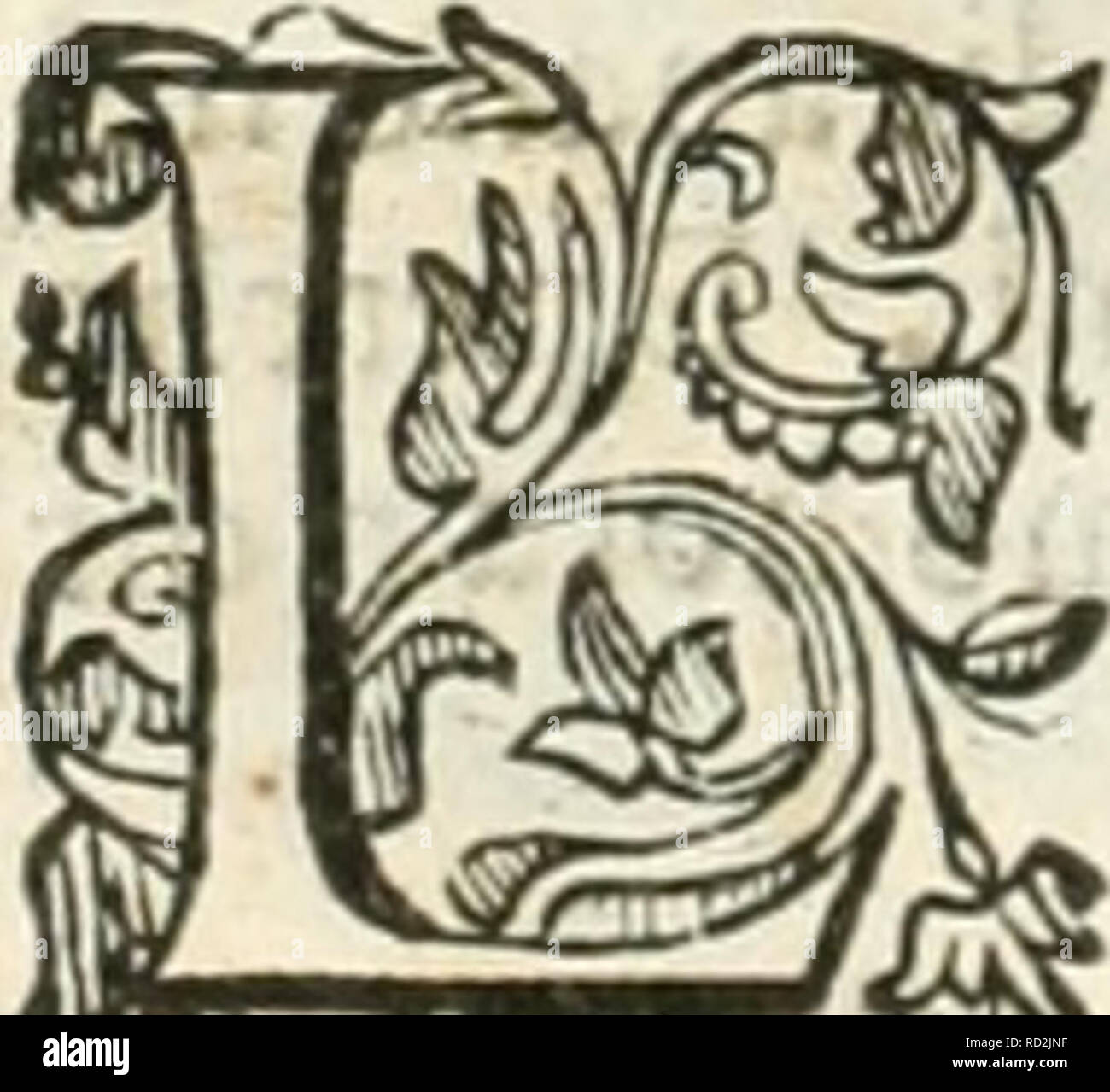 Dell Elixir Vita Das Elixier Des Lebens Destillation Alchemie Heilpflanzen Medizin Workshop Rezepte Corallo A L Fletta Fentir La Voce Del Corallo Ne Addira Effer Lui Medi Camento Del Core Ne Fenza