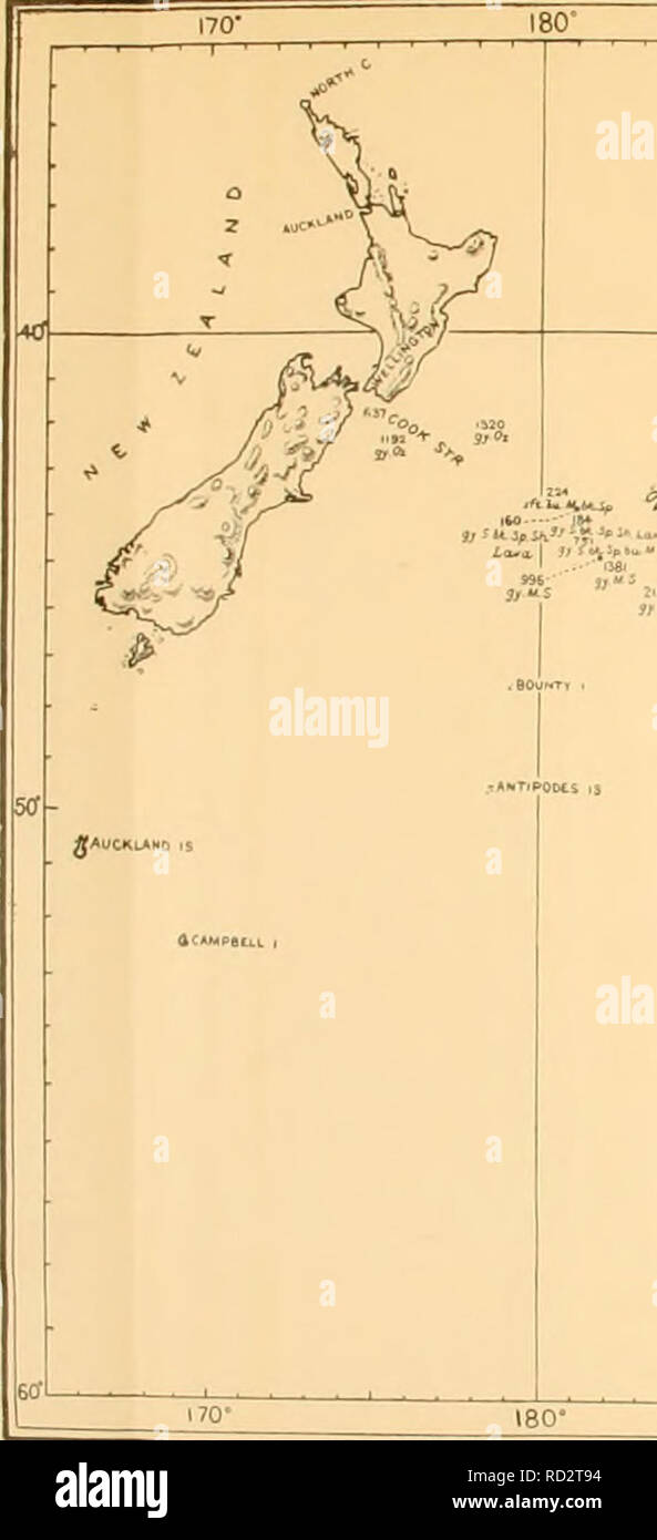 Auckland-Geschwindigkeit datiert