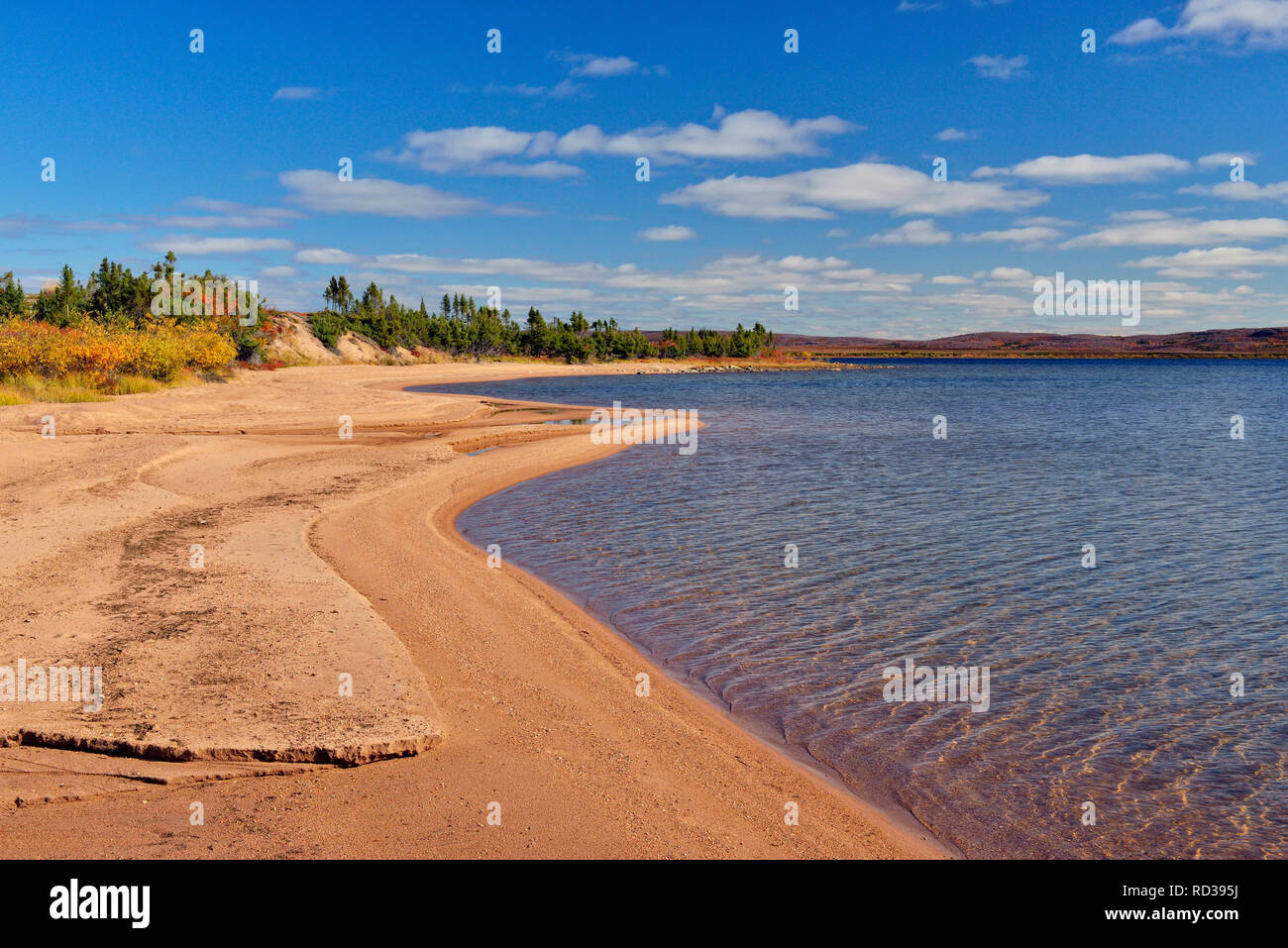 Sandige Küstenlinie von Ennadai Lake im Herbst, Arktis Haven Lodge, Ennadai Lake, Nunavut, Kanada Stockfoto