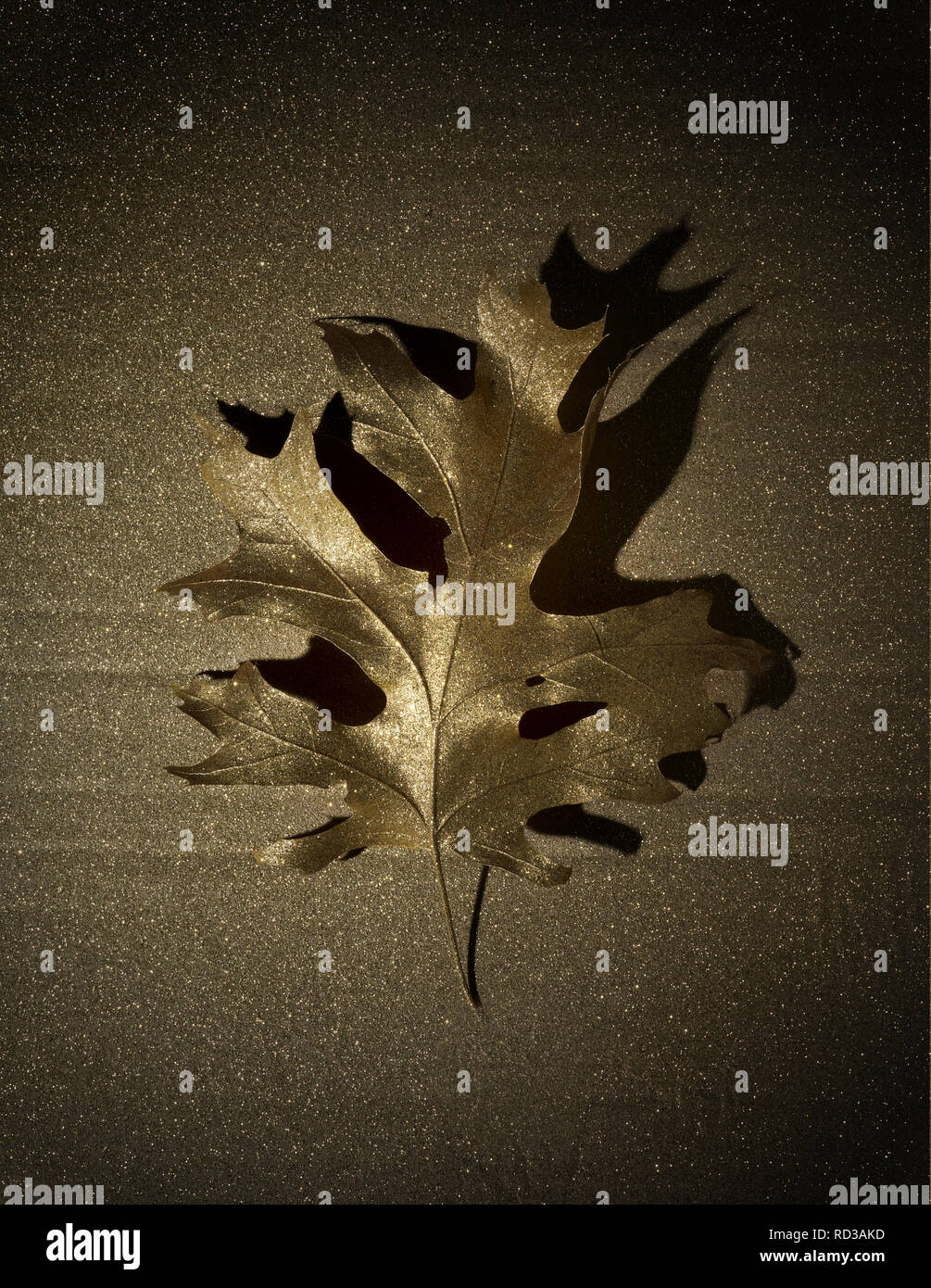 Golden Leaf gegen goldenen Hintergrund, Studio shot Stockfoto
