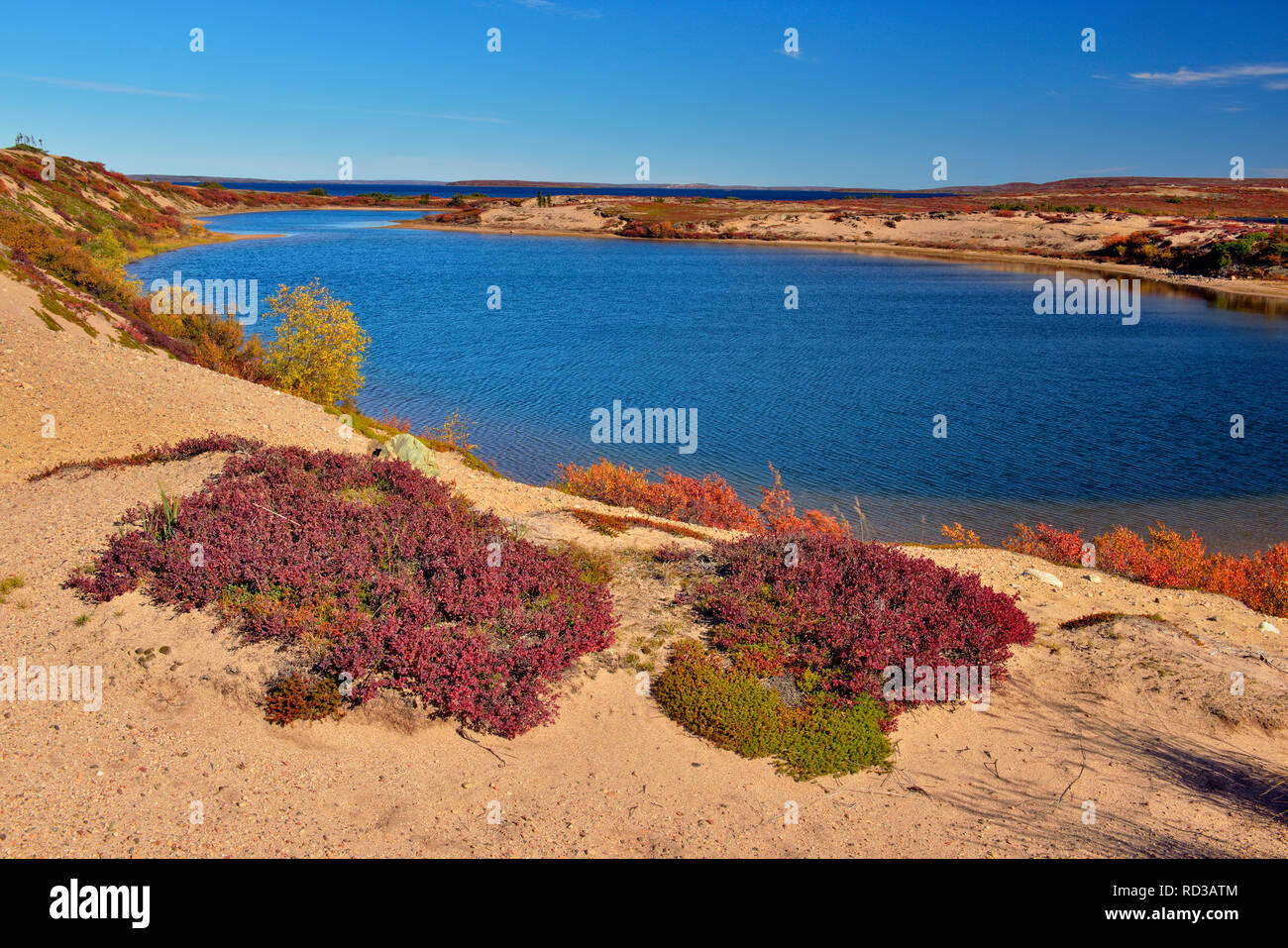 Ennadai Lake im Frühherbst, Arktis Haven Lodge, Ennadai Lake, Nunavut, Kanada Stockfoto