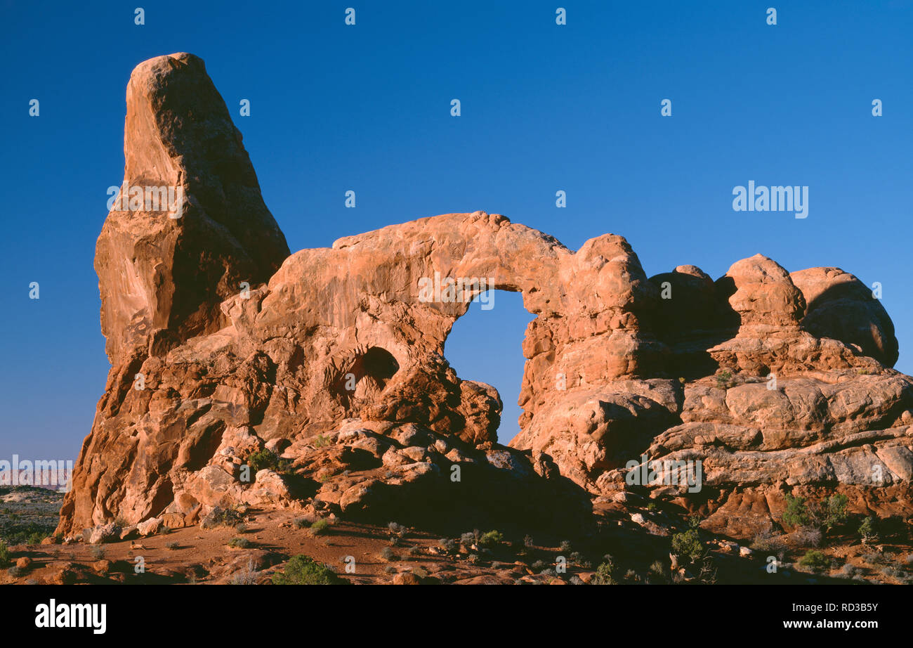 USA, Utah, Arches National Park, Turret Arch wird durch Wasser- und Winderosion auf Entrada Sandstein im Abschnitt Windows gebildet. Stockfoto