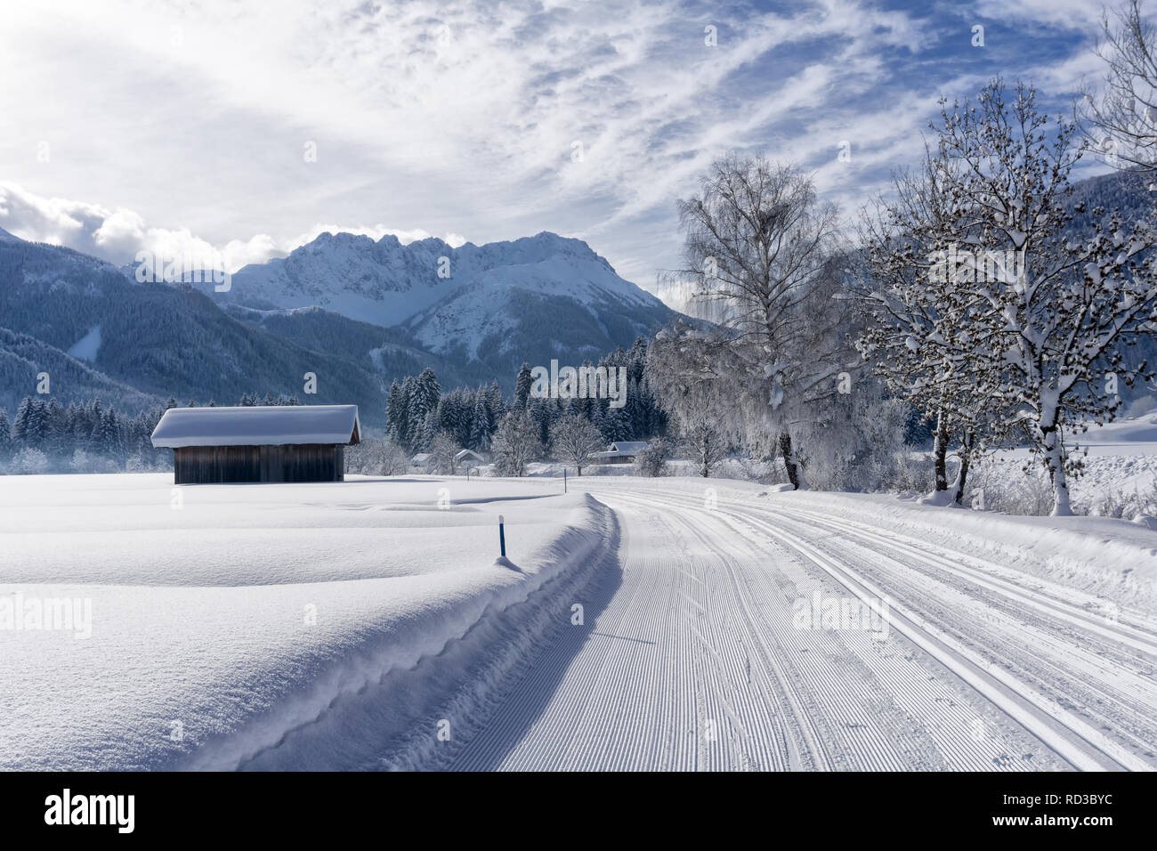 Winter Berglandschaft mit präparierten Loipe und blauer Himmel im sonnigen Tag, schneebedeckte Bäume entlang der Straße. Ehrwald, Tirol, Alpen, Österreich. Stockfoto