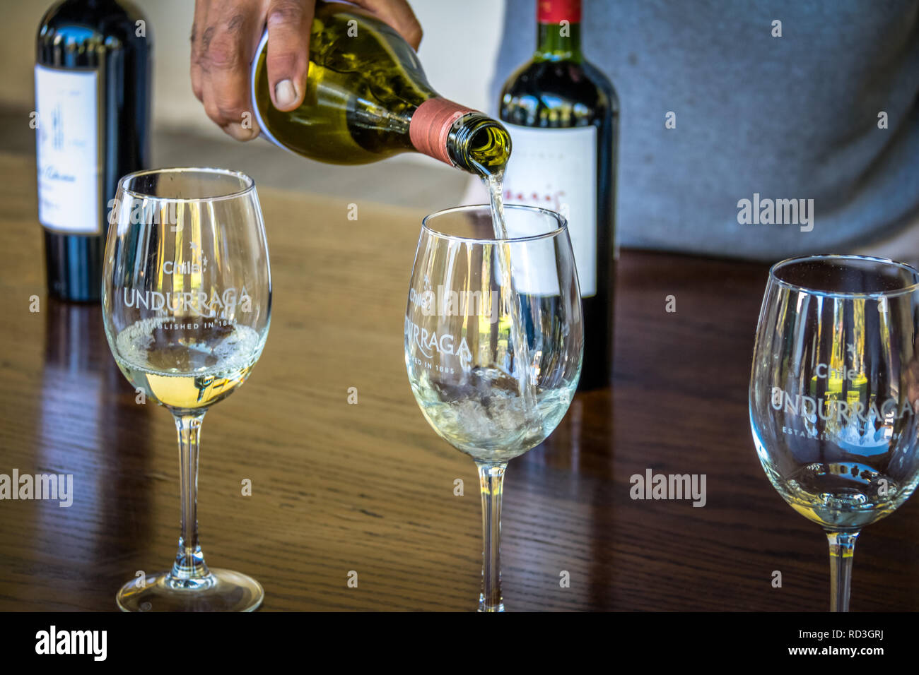 Glas Wein an undurraga Weinberg - Santiago, Chile Stockfoto