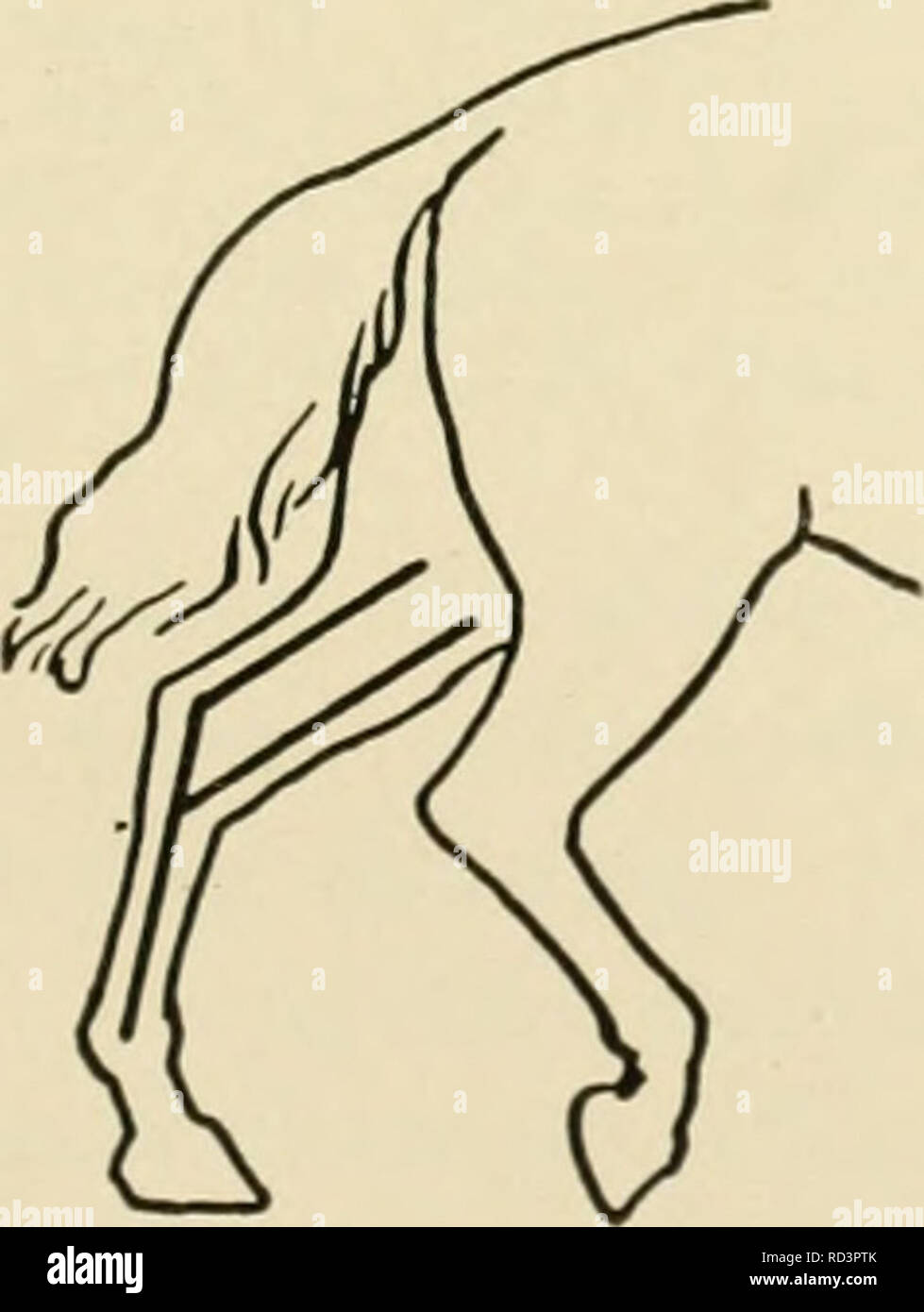. Elementare Landwirtschaft. Die Landwirtschaft. Anhang 243 verschiedene Fahrbahnoberflächen und entsprechend der Breite des Reifens und die Höhe der Räder. Der Entwurf auf hartem, ebenen Schmutz Straßen mit hohem - fahrbare Wagen wurde durch den Test zu 69 lbs. pro Tonne Last werden gefunden. Wie viele Tonnen konnten zwei 1.500 lb. Pferde ständig auf solche Straßen, wenn die Zugkraft von jedem Pferd 1/10 seines Gewichts war? Ans. - 4,35 Tonnen. 8. Der Entwurf der Wagen auf Schotterpisten mit einem Zoll von Sand auf der Oberseite 85 kg pro Tonne laden. Wie viele Tonnen könnte das gleiche Team erstellt ständig über die Straßen ziehen wie in Übung 5? Ans. Stockfoto