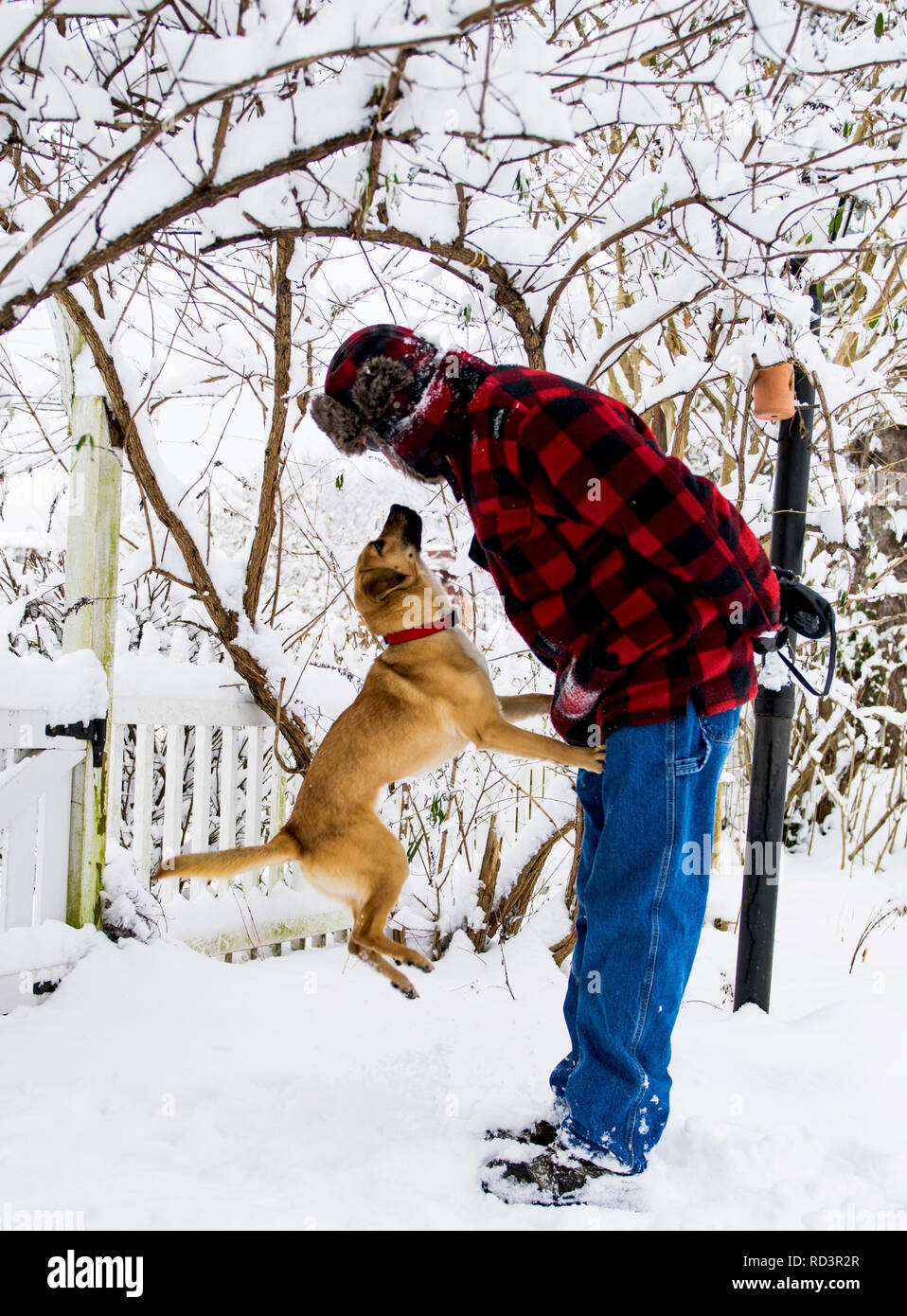 Lass uns Spielen im Schnee! Stockfoto