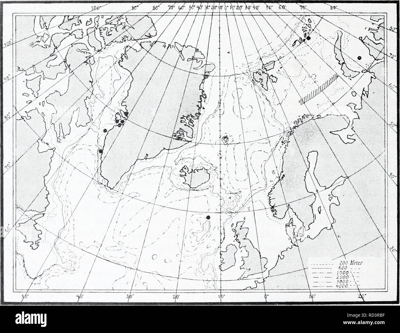 . Die dänische Ingolf-Expedition. Marine Tiere - arktischen Regionen; Wissenschaftliche Expeditionen; arktischen Regionen. 36 MEDUSA. I. Ptychogena antarktis Browne (1907, genauer im Jahre 1910, S. 29) wird aus Ptychogena lactea durch die Tatsache, dass die gonadial seitliche Falten kürzer sind und nicht auf die subumbrella zugeordnet und von der Farbe, die Basis der Fangarme, entsprechend Browne, mit roten entodermal Pigment; nach Vanhoffen (1912), der die Arten, die in der Material aus dem Deutschen South-Polar Expedition wiedergefunden hat, die Organe sind dunkel Kaffee - Braun aus. Es ist Stockfoto