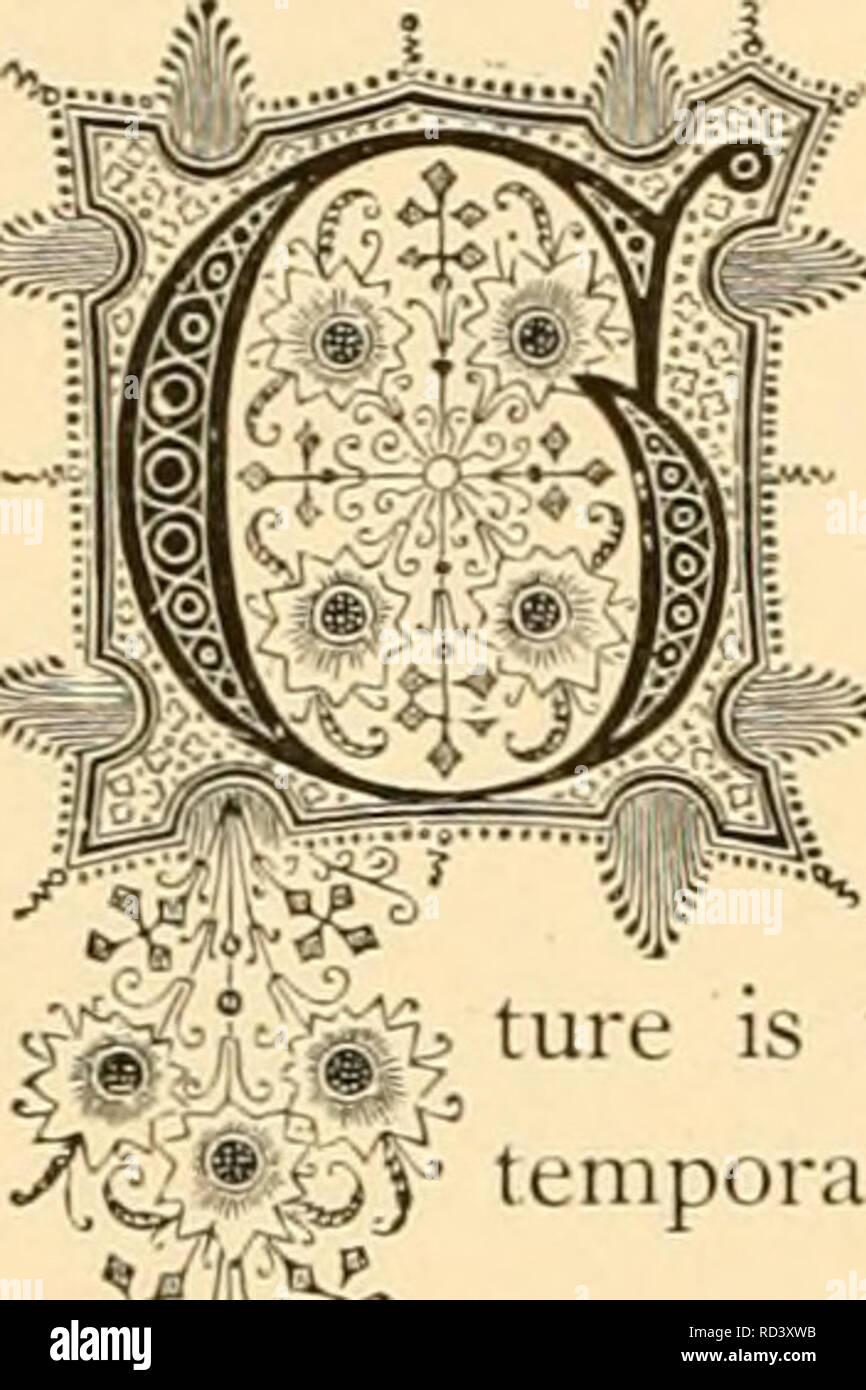 . Cyclopedia von praktische Blumenzucht. Blumenkultur ; Blume Sprache. f 5 v 1 i^riliia Mollis. Xatural bestellen: Compositce â Aster Familie. Rudern in die Schluchten des Weißen, Essex und andere "Berge im Osten, und auf die Rocky Mountains im Westen, die Arnika, eine Alpine Pflanze, gefunden wird. Die Blüten sind gelb und sind auf die Stengel von ein bis zwei Fuß hoch getragen. Wenn Sie getrocknet Die}^ Form einen Artikel für Handel, verwendet wird, die Entzündung in den Wunden und Prellungen zu reduzieren. Ein Tinc - in der Regel mit Alkohol, oder Spirituosen irgendeiner Art vorbereitet; oder für den temporären Einsatz eine Lotion durch Einweichen in Wasser gebildet wird. Stockfoto