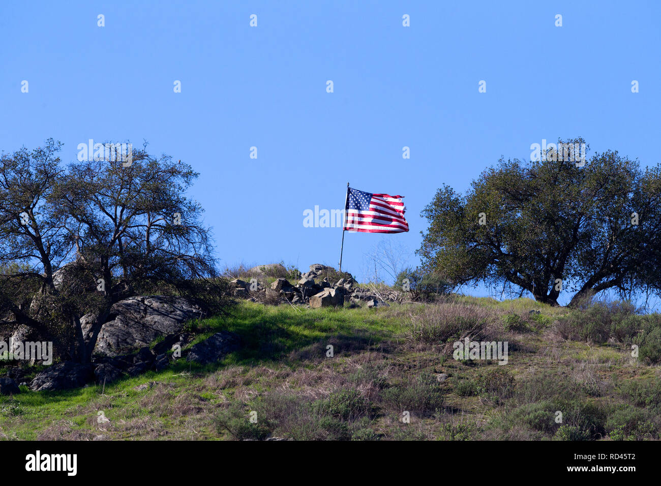 Die amerikanische Flagge auf dem Hügel Stockfoto