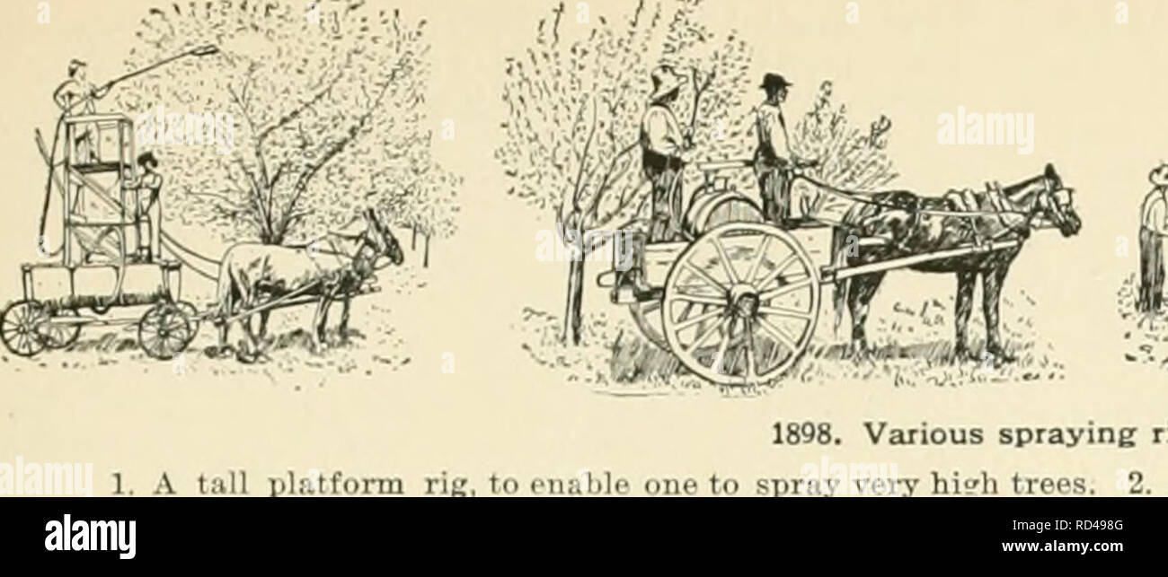 . Cyclopedia der amerikanischen Gartenbau, bestehend aus Anregungen für den Anbau von Gartenpflanzen, Beschreibungen der Arten von Obst, Gemüse, Blumen und Zierpflanzen in den Vereinigten Staaten und in Kanada verkauft, zusammen mit geographischen und Biographische Skizzen. Im Garten arbeiten. POJIOLOGY. !'&Gt; r vorgeschlagenen Kodex fob Pomolooical Nomenclatuee. Form von IVa, Hes. Die nnmos von n Obstsorte besteht aus einem Wort. (D) Die Verwendung solcher allgemeinen Geschäftsbedingungen als Sämling, Hybrid, PIP-pin, buerre, Zwetschgen, etc., ist nicht zulässig. (C) mn Nnnns I&gt;'te sie notwendig sind für cleardiscrimi - Priorit Stockfoto
