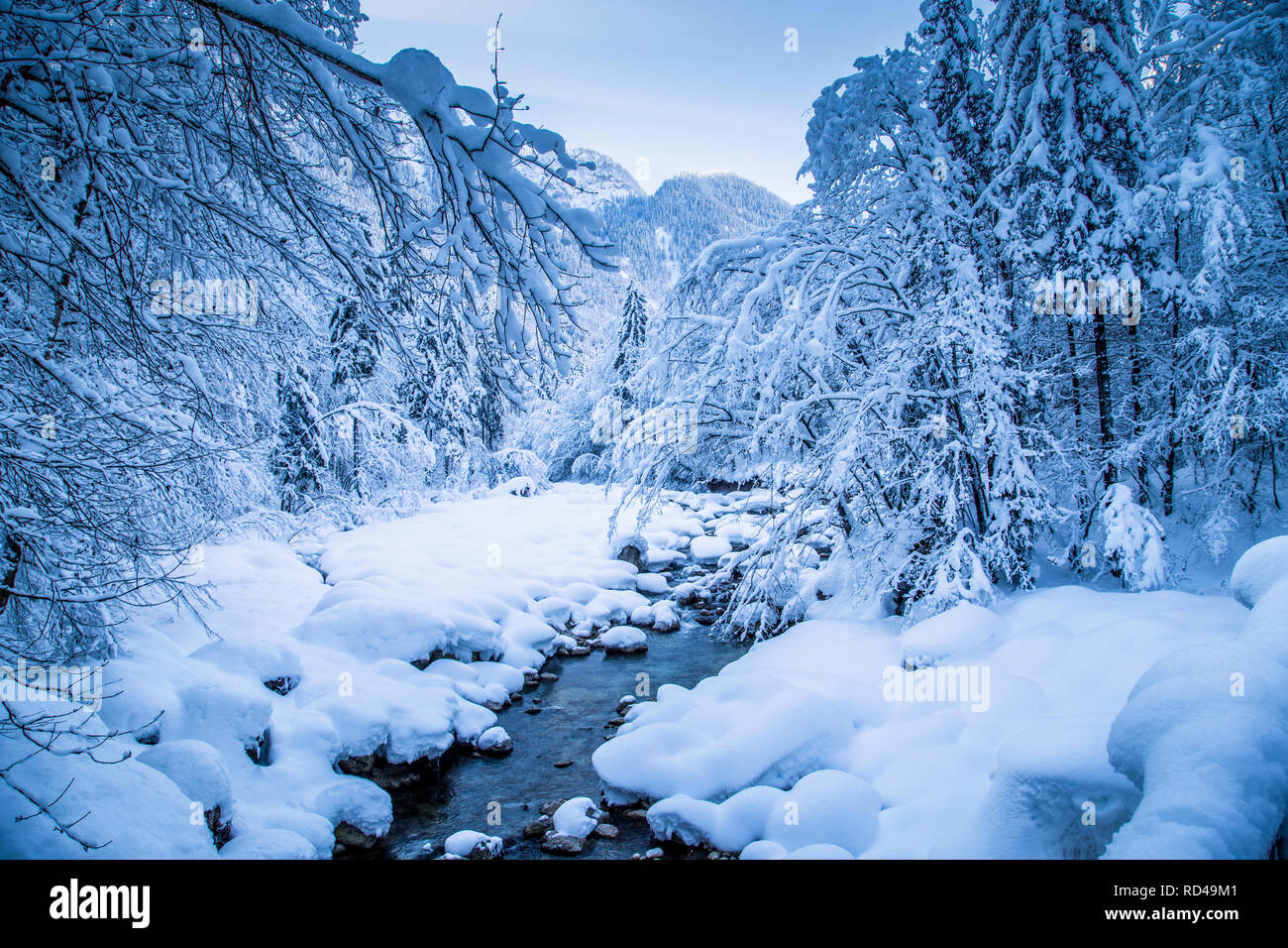 Malerische Aussicht auf romantische Winterlandschaft mit Flussbett und Bäume in tiefem Schnee auf einem schönen kalten sonnigen Tag abgedeckt Stockfoto