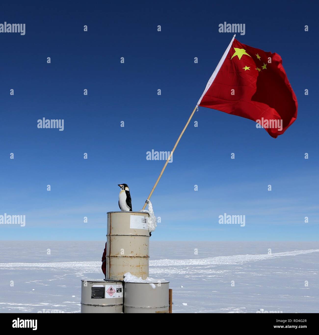 Peking, Antarktis, China. 16 Jan, 2019. Der chinesischen Nationalflagge ist im Bereich der Dome Argus (Dome A), die Spitze der Antarktis inland Eiskappe gesehen, in der Antarktis, Jan. 16, 2019. Credit: Liu Shiping/Xinhua/Alamy leben Nachrichten Stockfoto