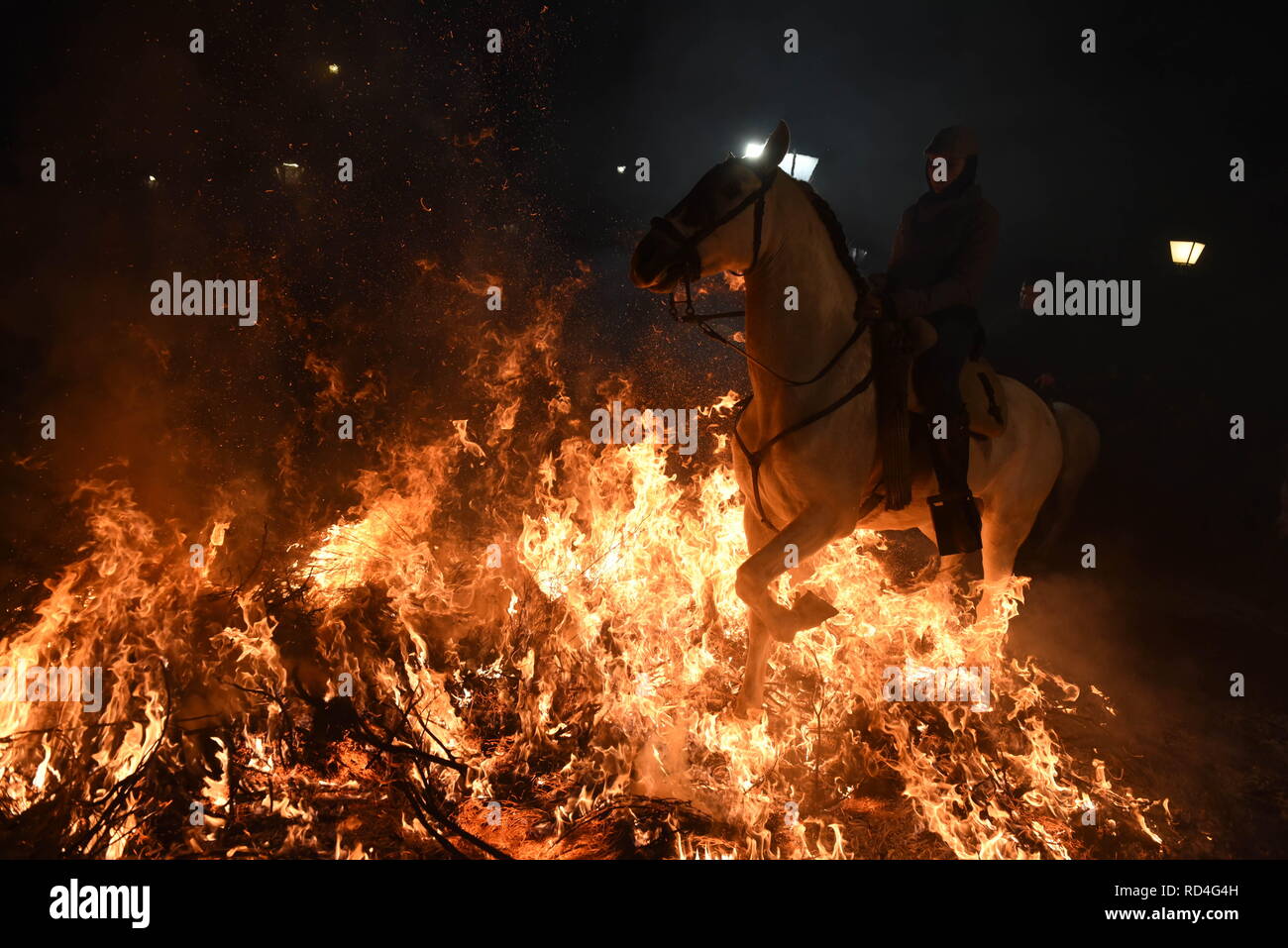 Januar 16, 2019 - San Bartolome de Pinares, Vila, Spanien - ein Mann reitet auf einem Pferd durch ein Lagerfeuer als Teil eines Rituals zu Ehren des heiligen Antonius, dem Schutzpatron der Haustiere, in San Bartolome de Pinares, Spanien. Quelle: John milner/SOPA Images/ZUMA Draht/Alamy leben Nachrichten Stockfoto