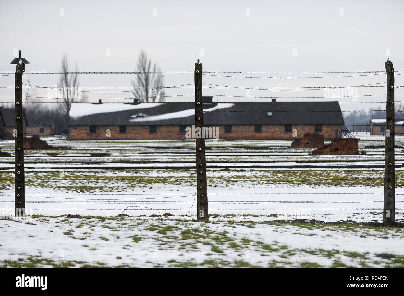 Eine Teilansicht der Zäune des ehemaligen NS-Vernichtungslagers Birkenau. Die Erinnerung an den Holocaust Tag findet am 27. Januar, wo die Überlebenden der 74. Jahrestag der Befreiung von Auschwitz Feierlichkeiten teilnehmen wird. Stockfoto