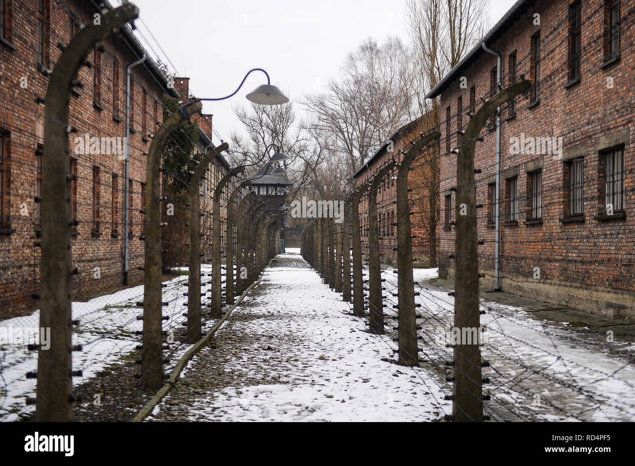 Eine Ansicht der Zäune im ehemaligen deutschen Vernichtungslager Auschwitz-Birkenau. Die Erinnerung an den Holocaust Tag findet am 27. Januar, wo die Überlebenden der 74. Jahrestag der Befreiung von Auschwitz Feierlichkeiten teilnehmen wird. Stockfoto