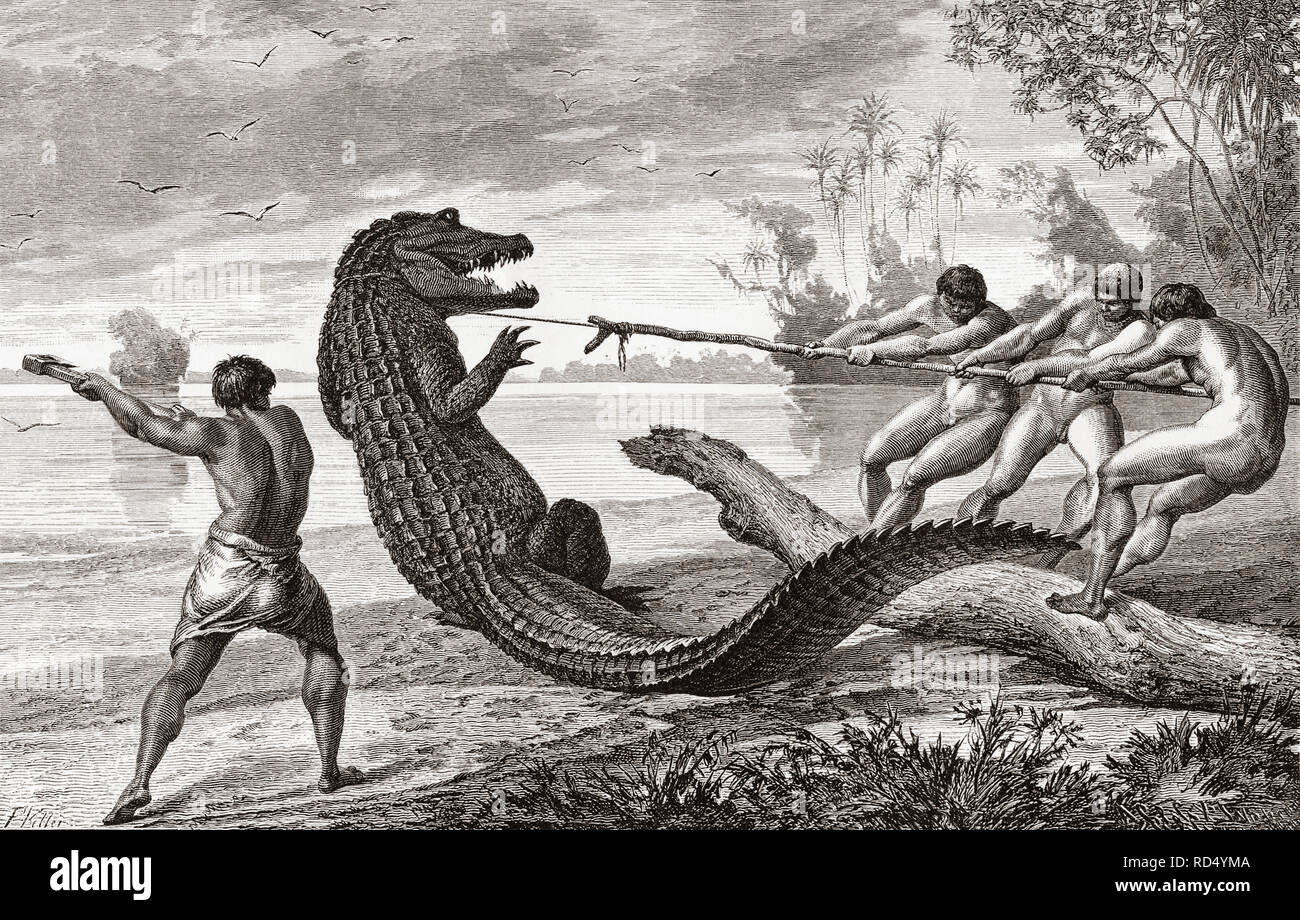 Afrikanische Stammesangehörigen töten ein Krokodil. Nach einem Kupferstich aus dem 19. Jahrhundert. Stockfoto