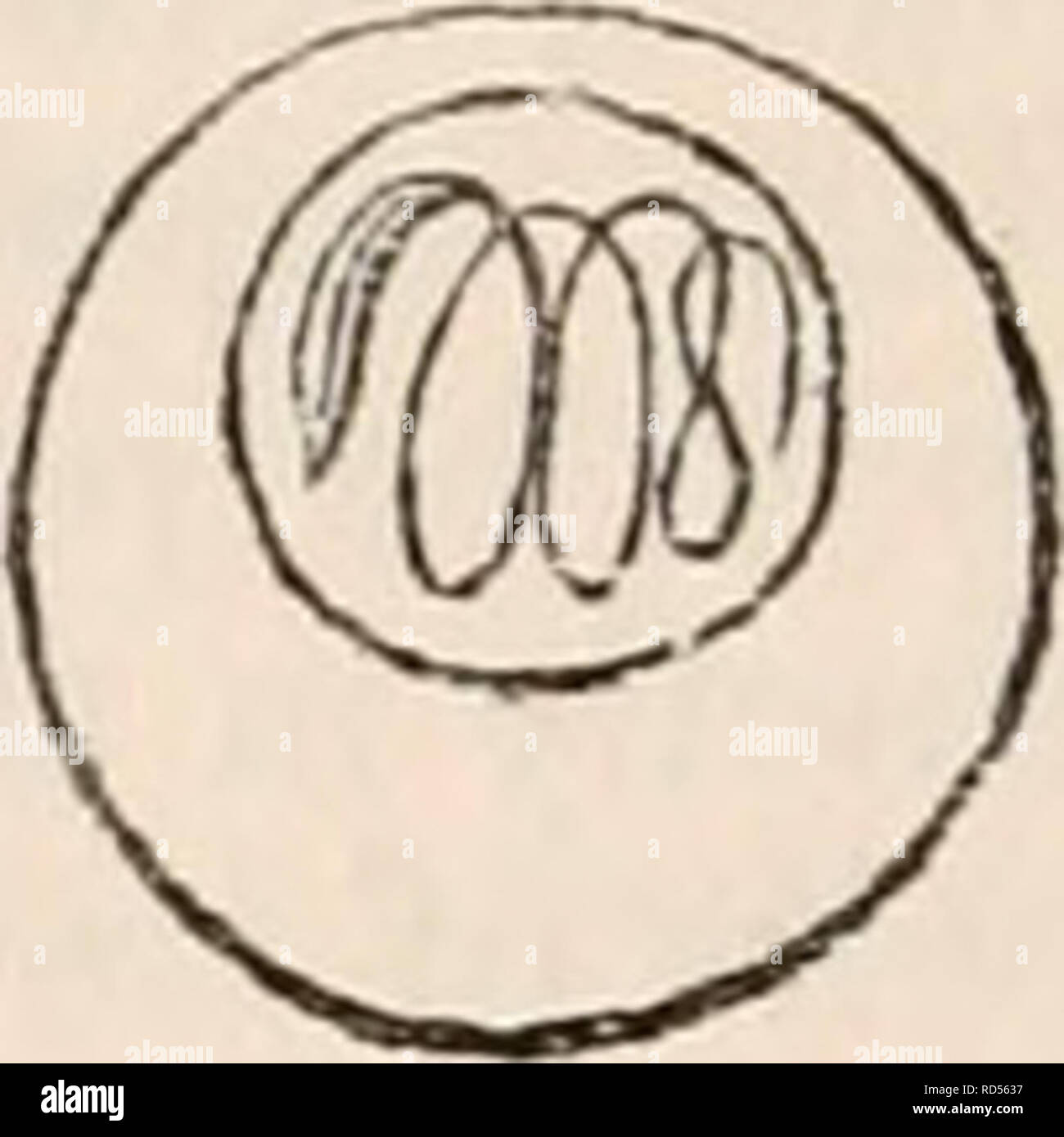 . Die cyclopaedia von Anatomie und Physiologie. Anatomie, Physiologie