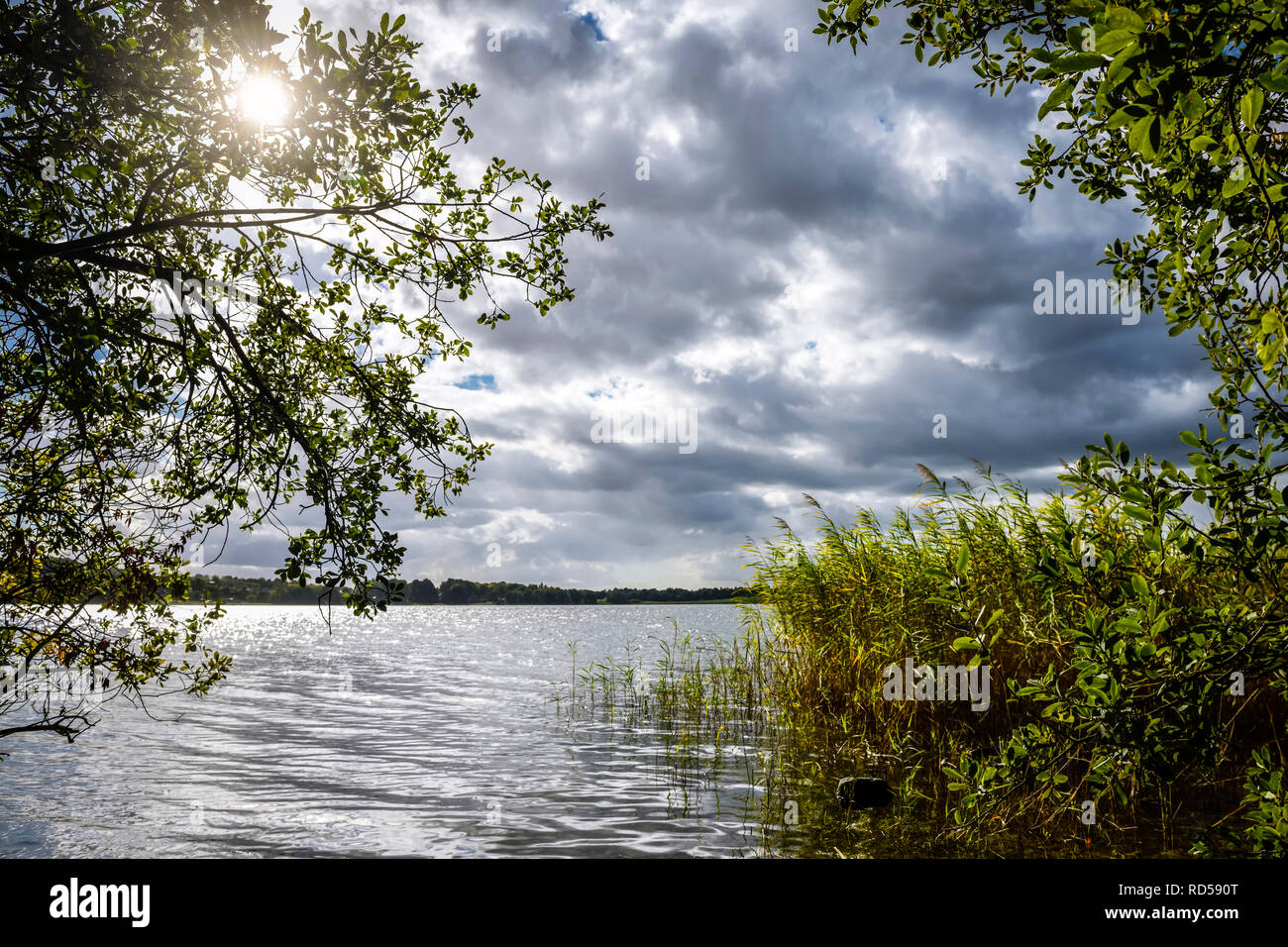 Die großen Pönitzer See in Schleswig Holstein, Deutschland, Europa