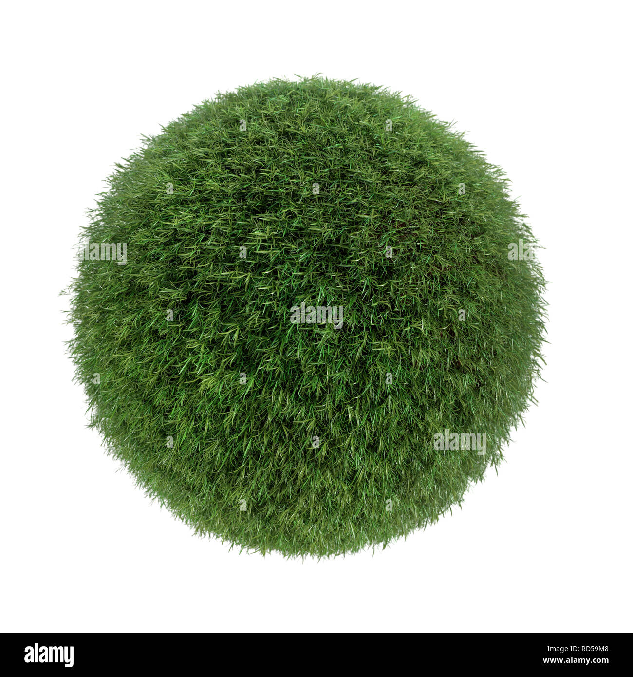 Kugel mit frischem Gras bedeckt Stockfoto