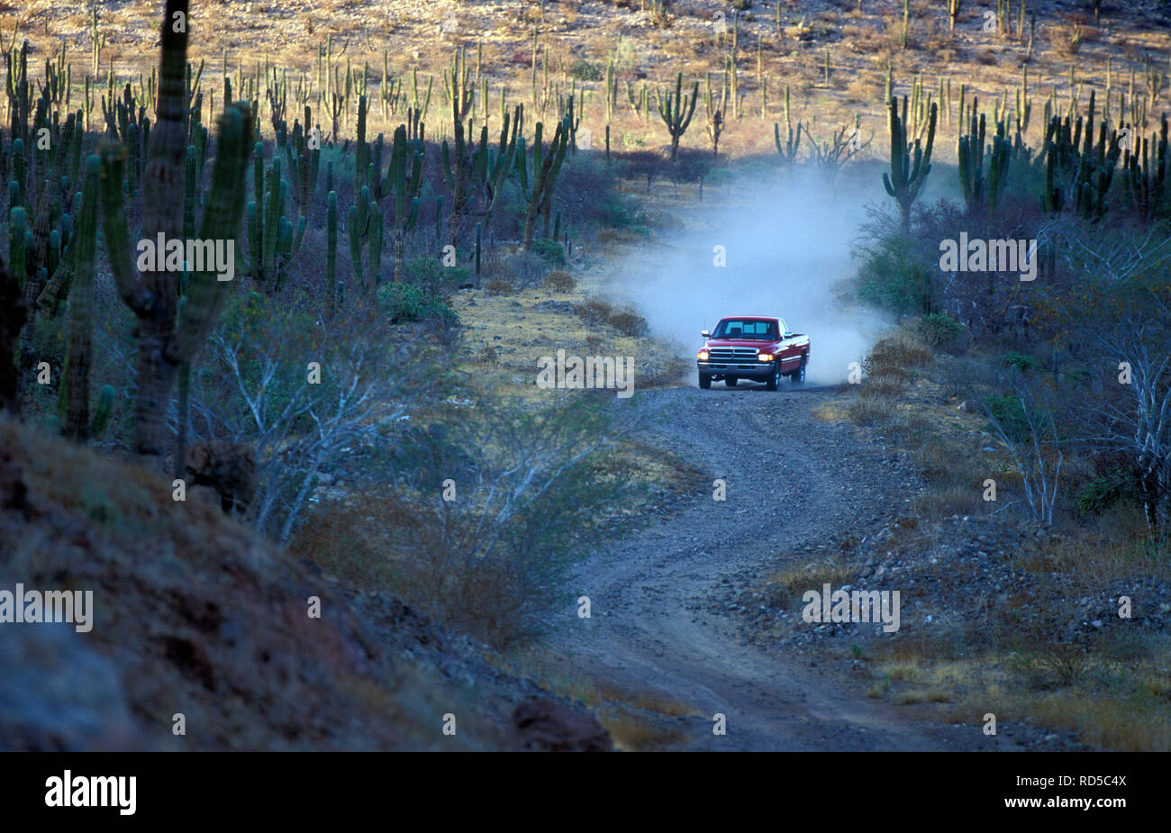 Dodge Ram V10 Pick-up Truck in Mexiko 1993 Stockfoto
