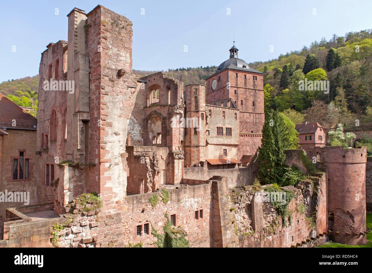 Heidelberger Schloss Schloss, Heidelberg, Baden-Württemberg Stockfoto