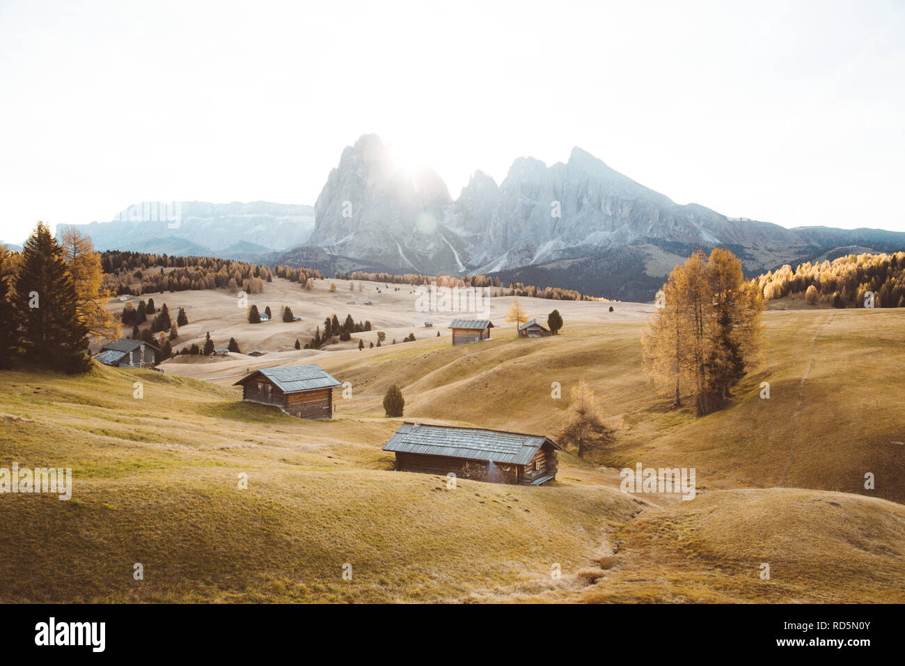 Schöne Sicht der traditionellen Holz- Mountain Chalets an der malerischen Seiser Alm mit berühmten langkofel Bergspitzen im Hintergrund in Golden Morning Stockfoto