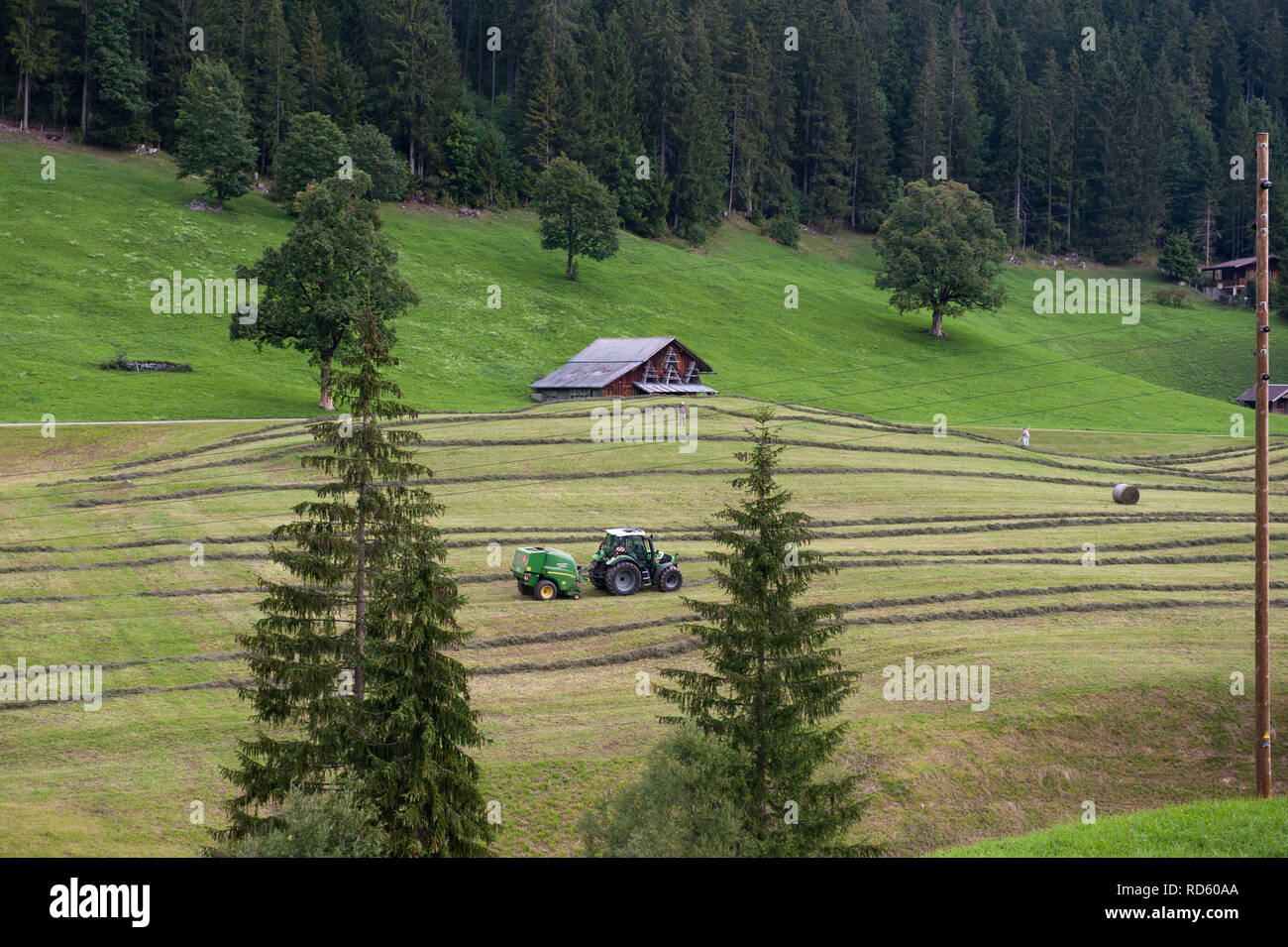 Schwenden Tal, Schweiz: Pflügen Felder Stockfoto