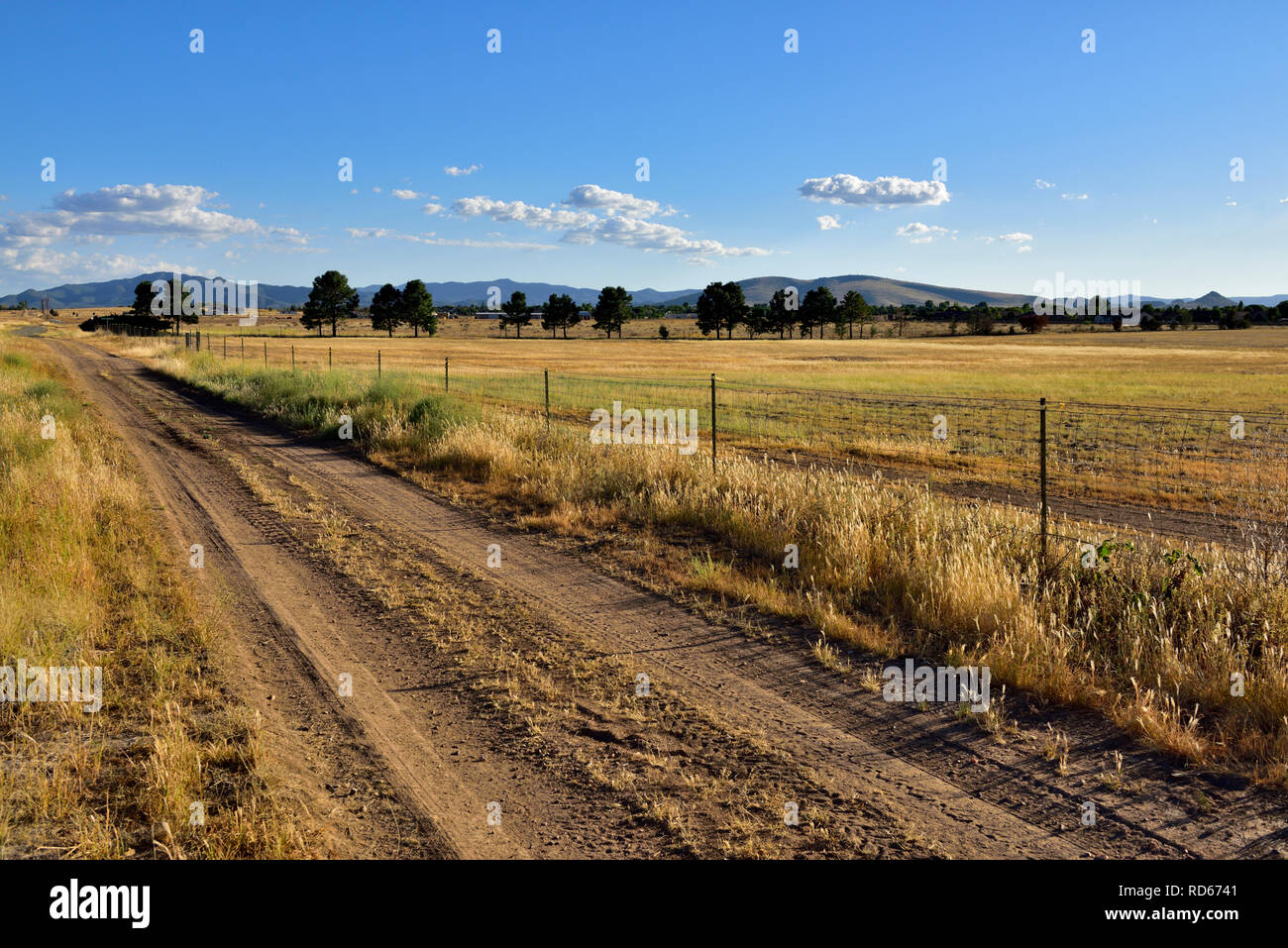 Arizona Landschaft in Prescott Valley mit flachen Landschaft, Schmutz, Straße, Zaun, die Berge in der Ferne, Weide Weide Stockfoto