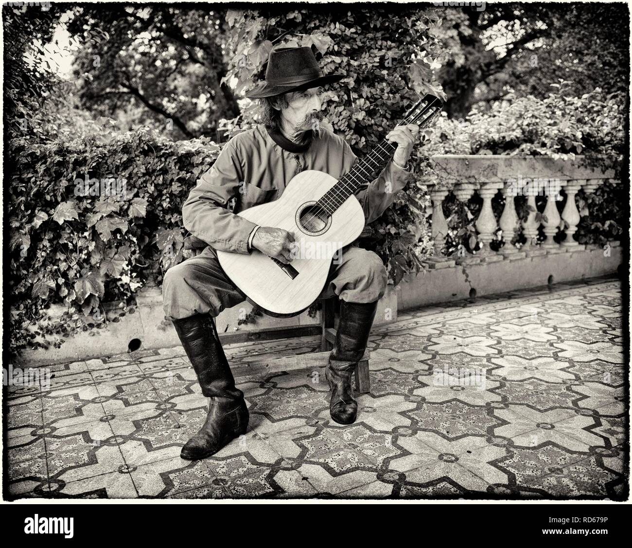 Gaucho singt und spielt Gitarre, San Antonio de Areco, Provinz Buenos Aires, Argentinien, Südamerika Stockfoto