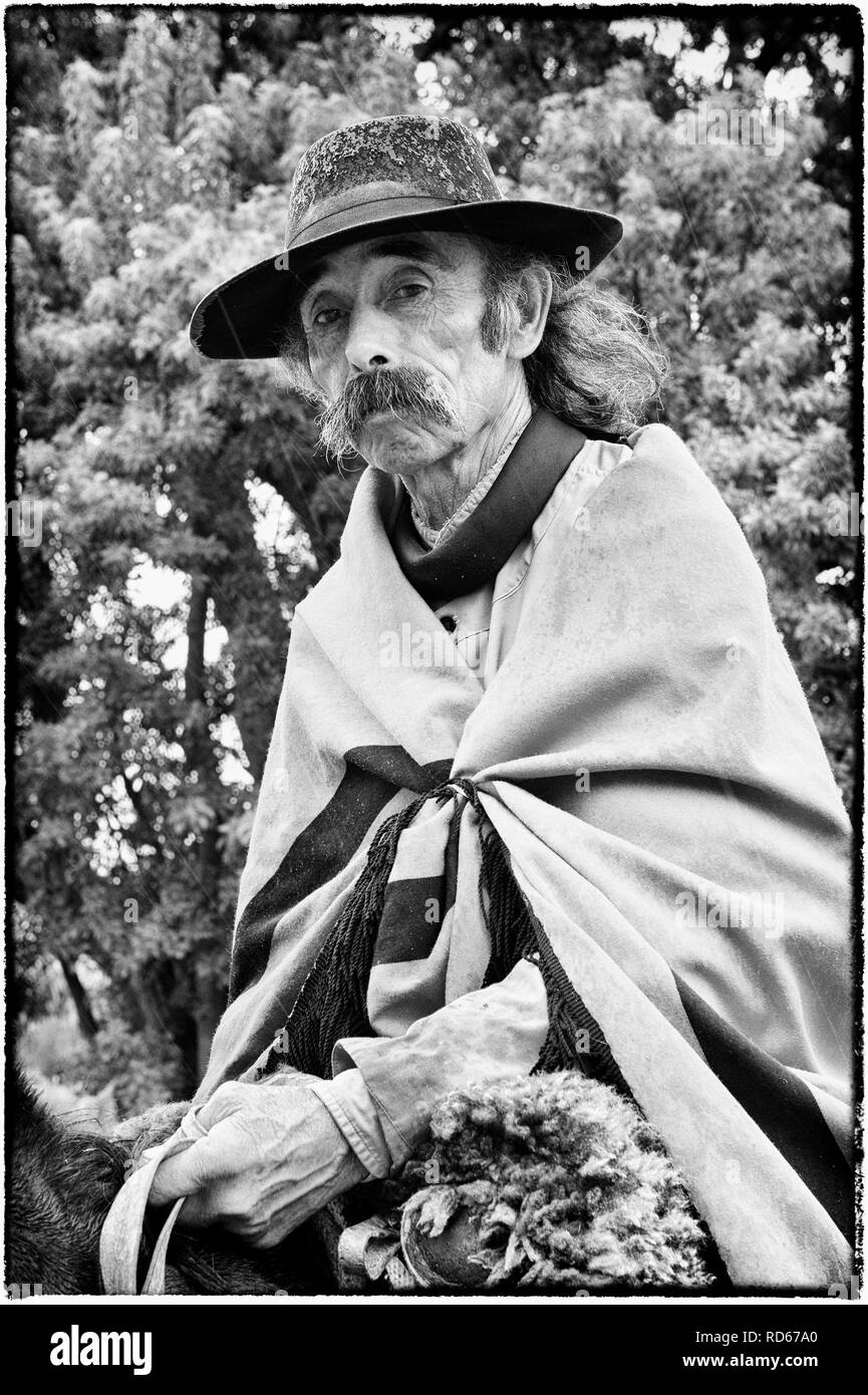 Gaucho, Reiten, San Antonio de Areco, Provinz Buenos Aires, Argentinien, Südamerika Stockfoto