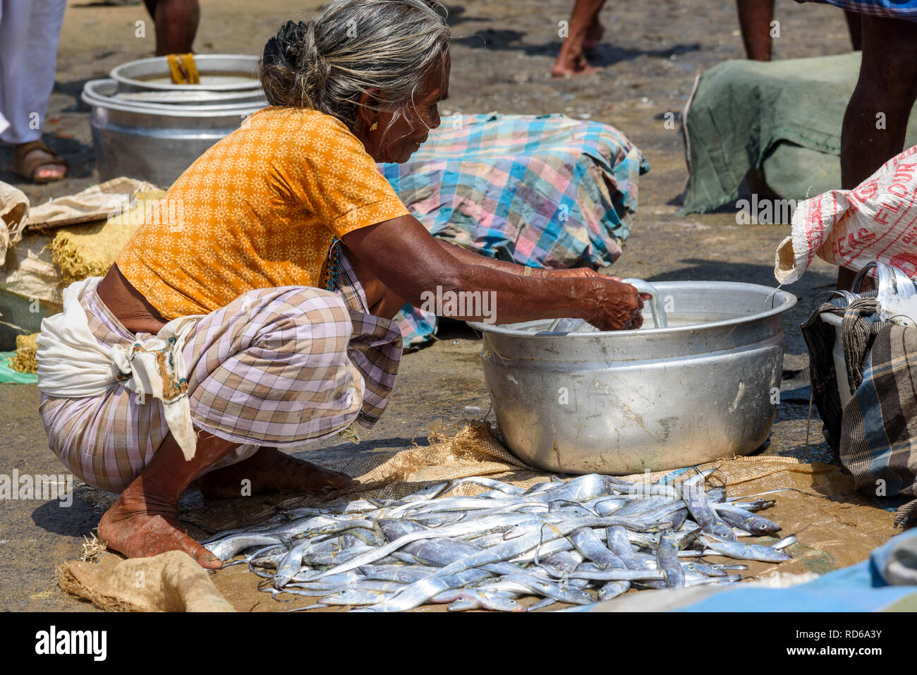 Vizhinjam Beach Fischmarkt, in der Nähe von Kovalam, Kerala, Indien Stockfoto