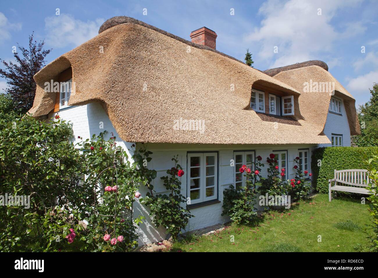 Reetgedeckte Haus Nebel Amrum Insel Nordfriesland Schleswig